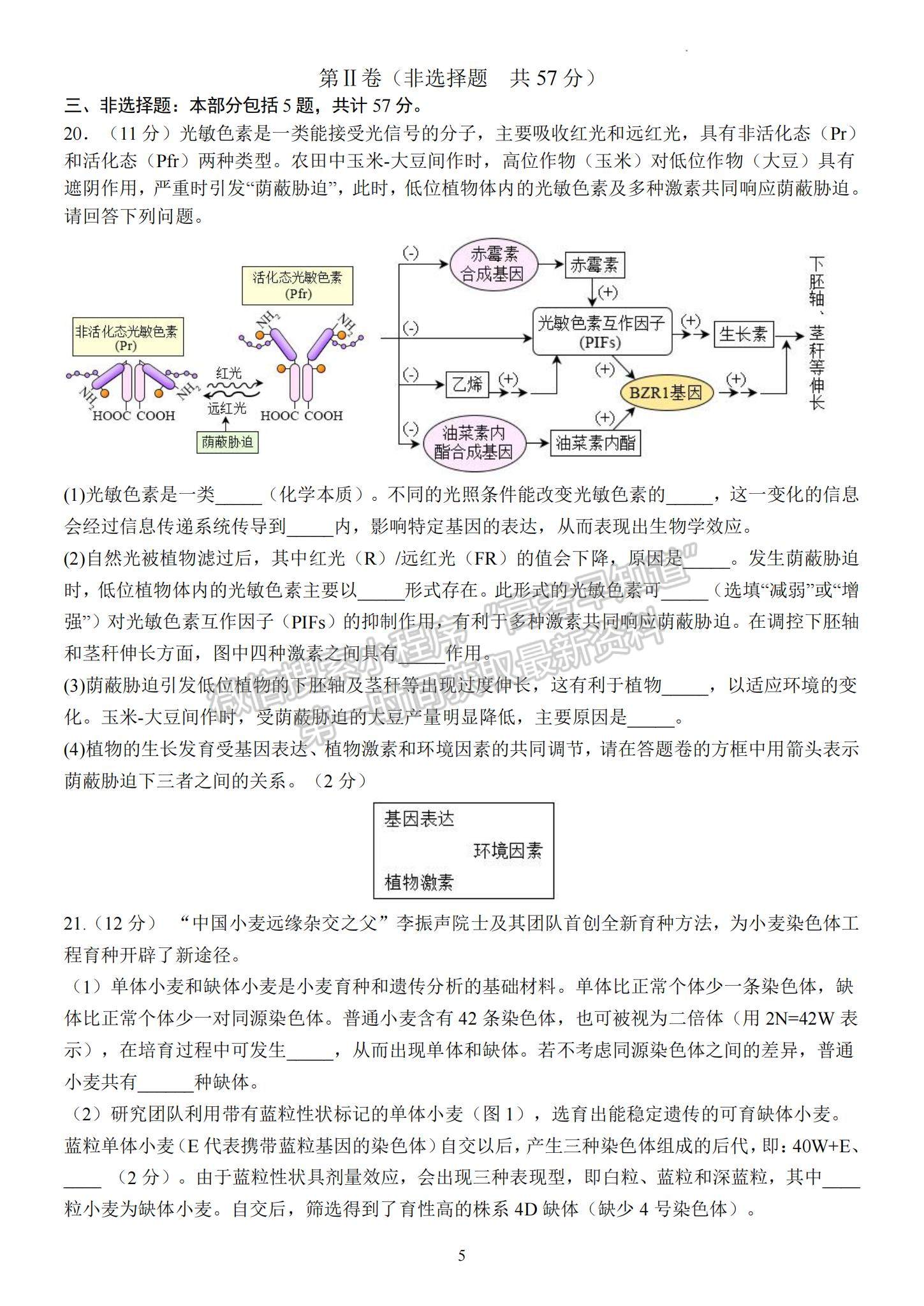 2023江蘇省揚(yáng)州中學(xué)高三下學(xué)期3月階段調(diào)研生物試題及參考答案