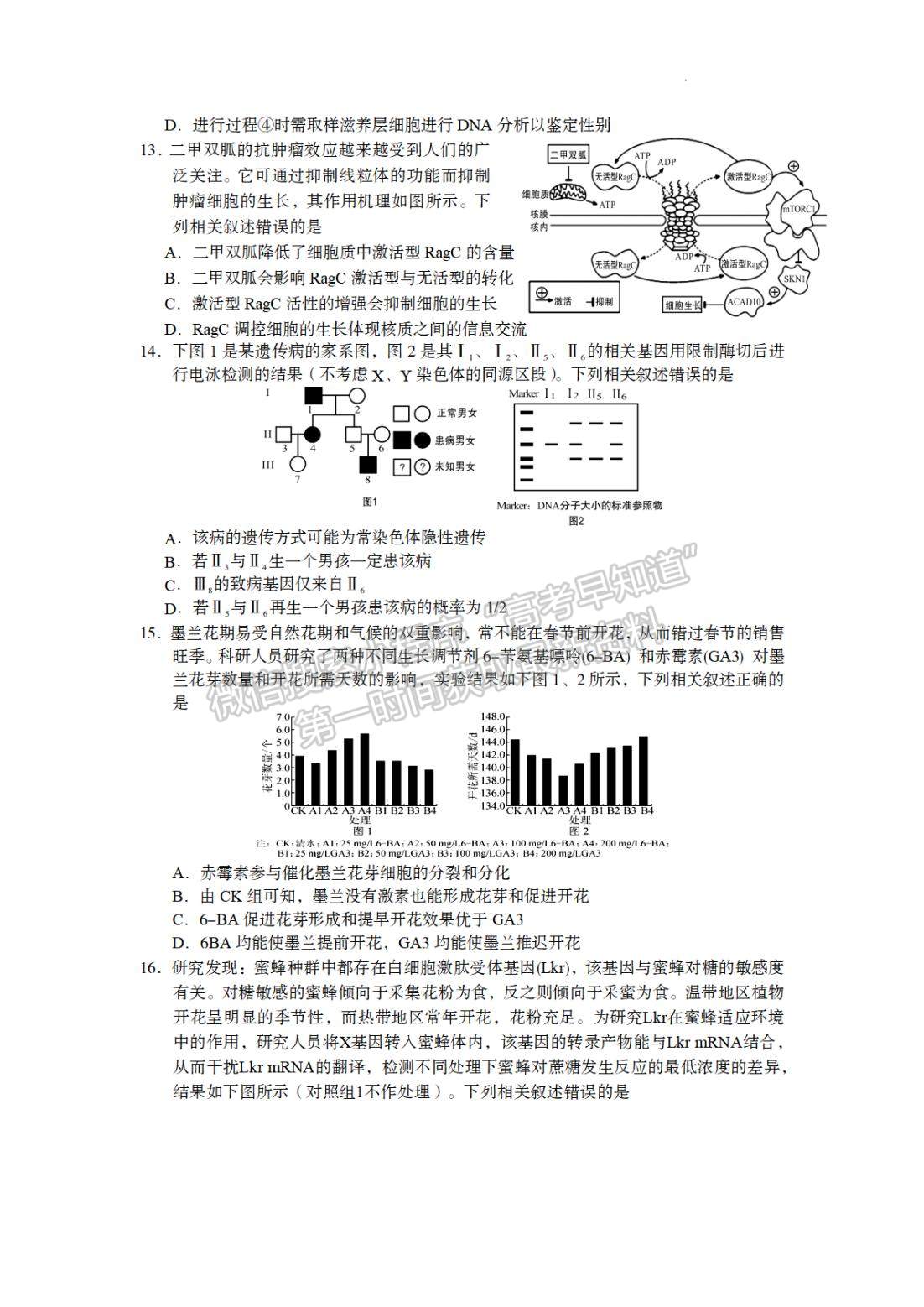 2023龍巖三檢生物試題及參考答案