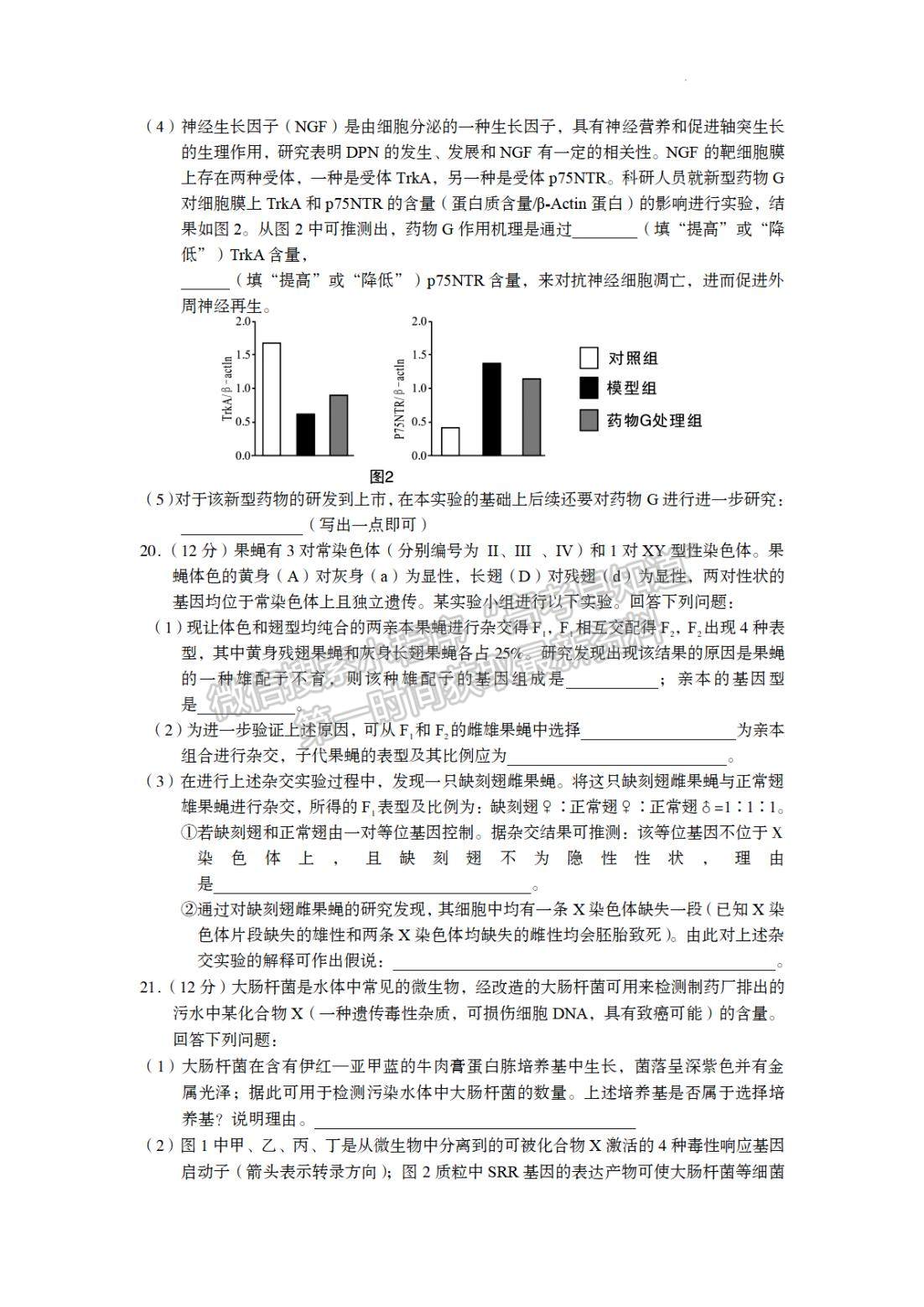 2023龍巖三檢生物試題及參考答案