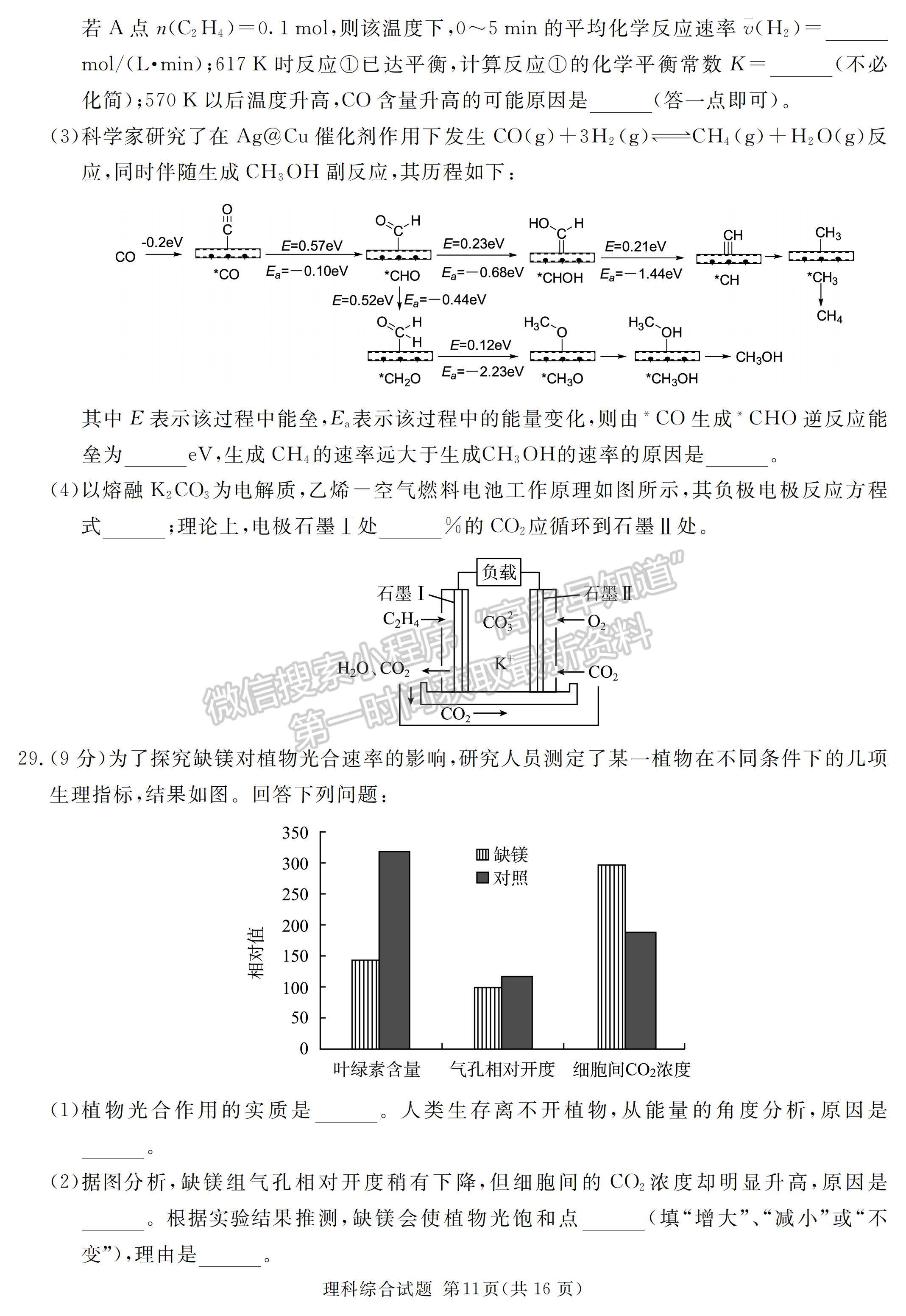 2023四川省泸州/乐山/眉山/雅安三诊考试理科综合试题及答案