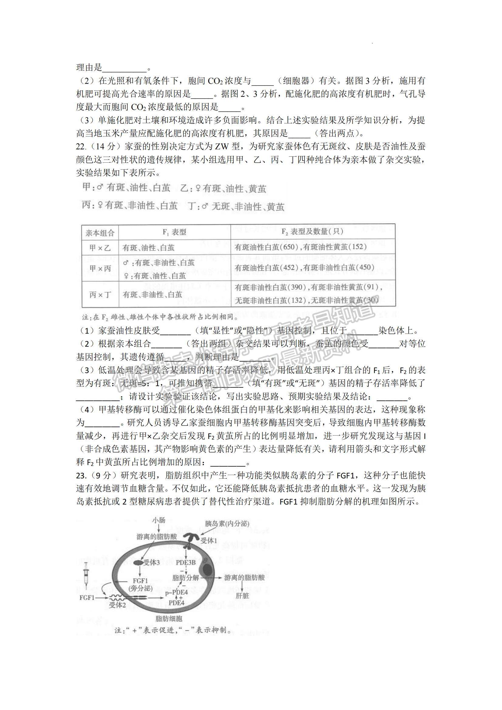 2023山東省齊魯名校高三下學(xué)期3月大聯(lián)考生物試題及參考答案