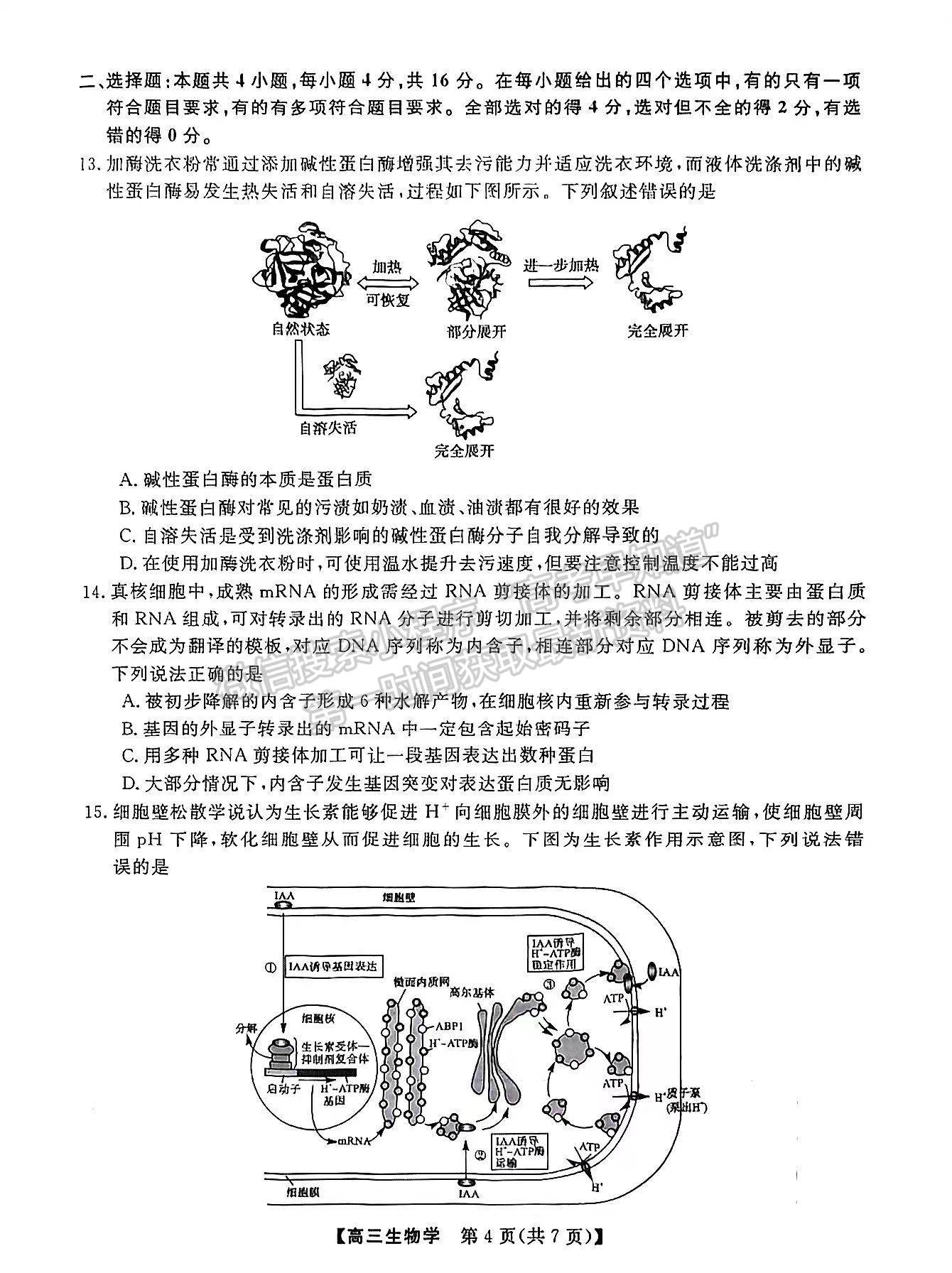 2023屆湘潭第四次模擬考試生物試卷及參考答案