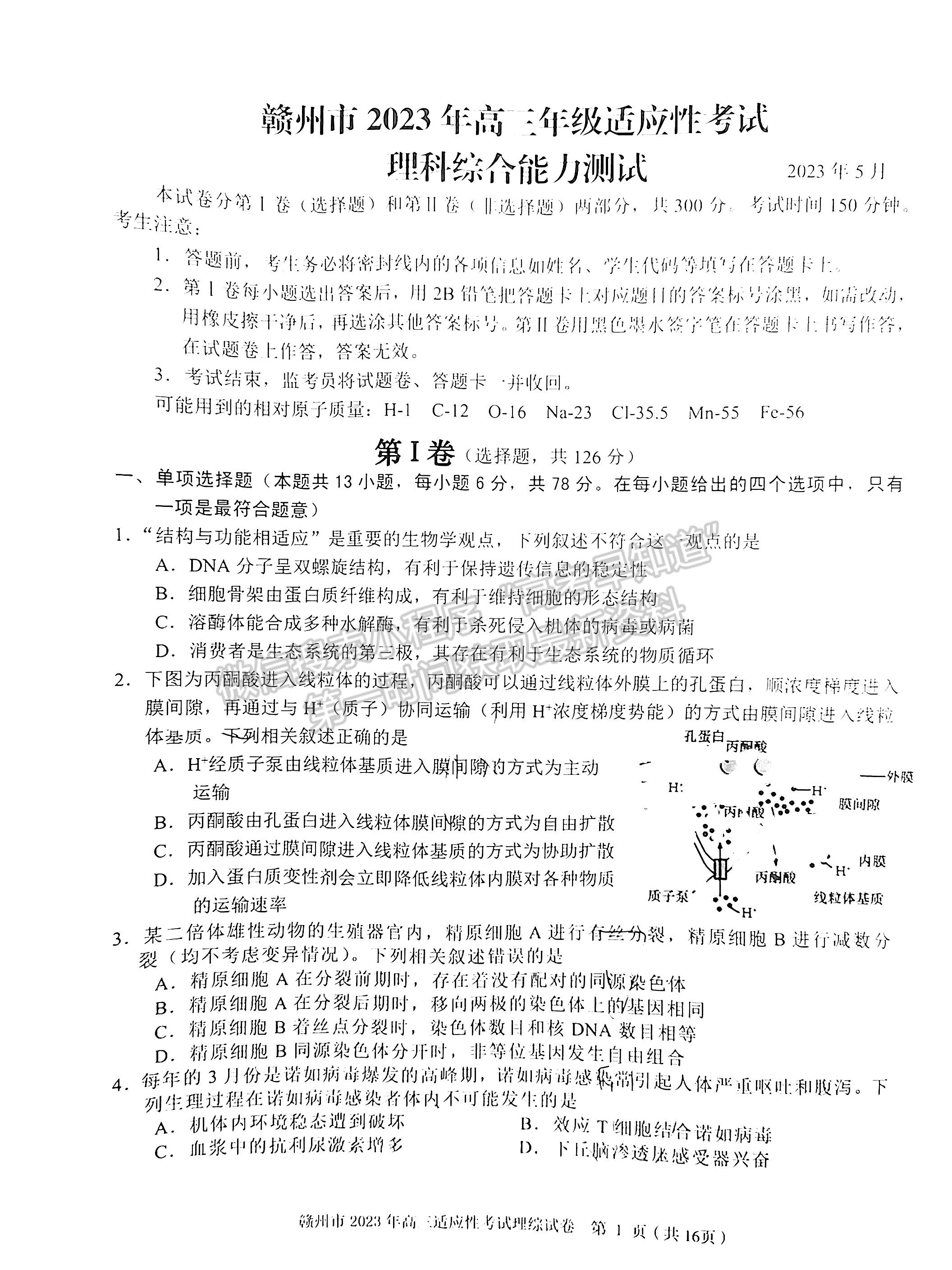 2023赣州二模理综