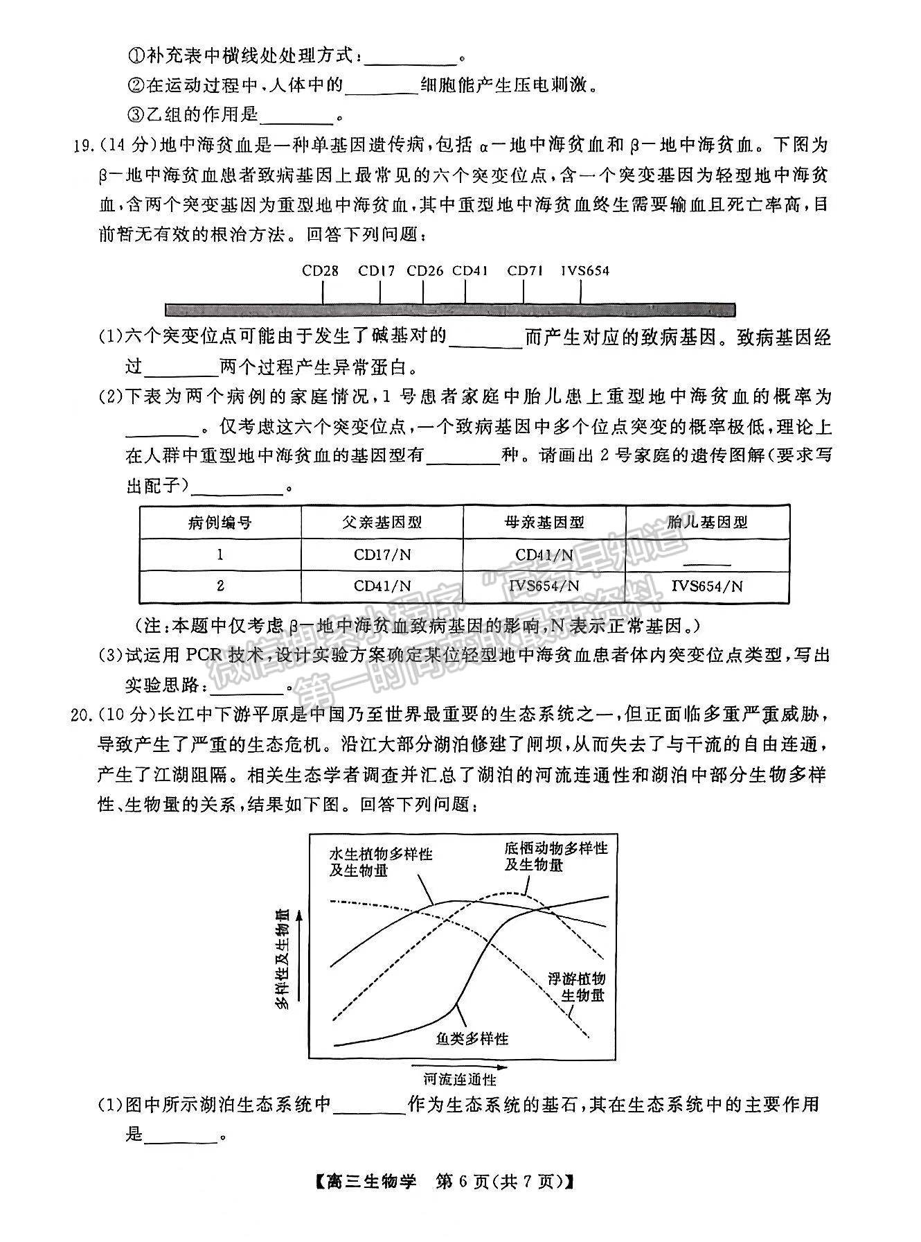 2023屆湘潭第四次模擬考試生物試卷及參考答案