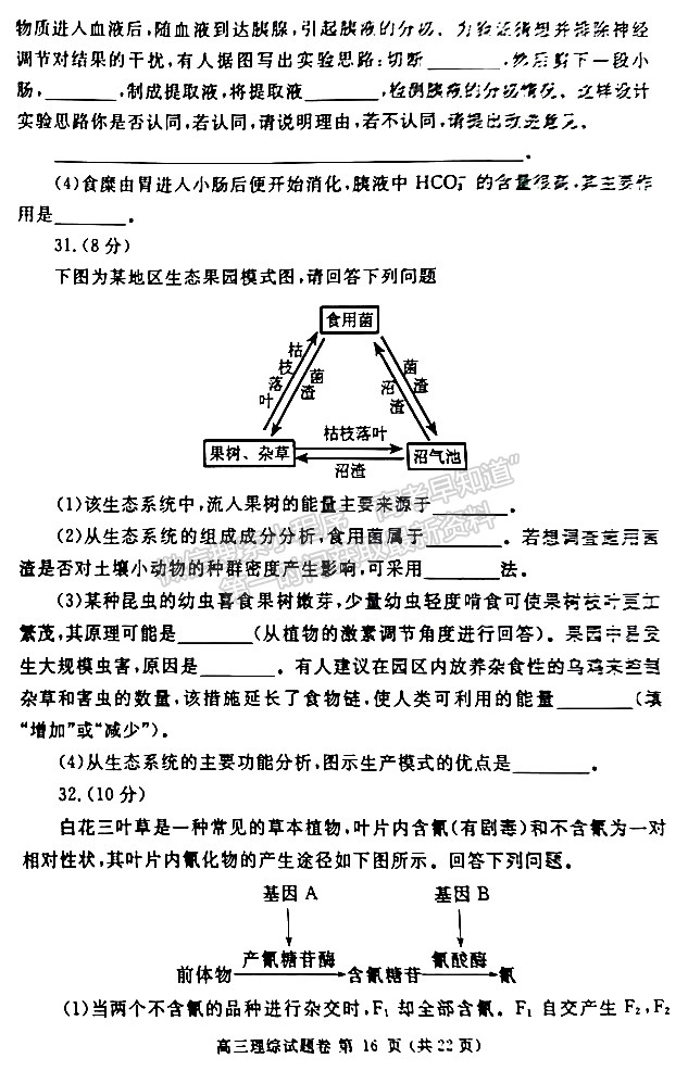 2023年郑州市高中毕业年级第三次质量预测理综试题及参考答案