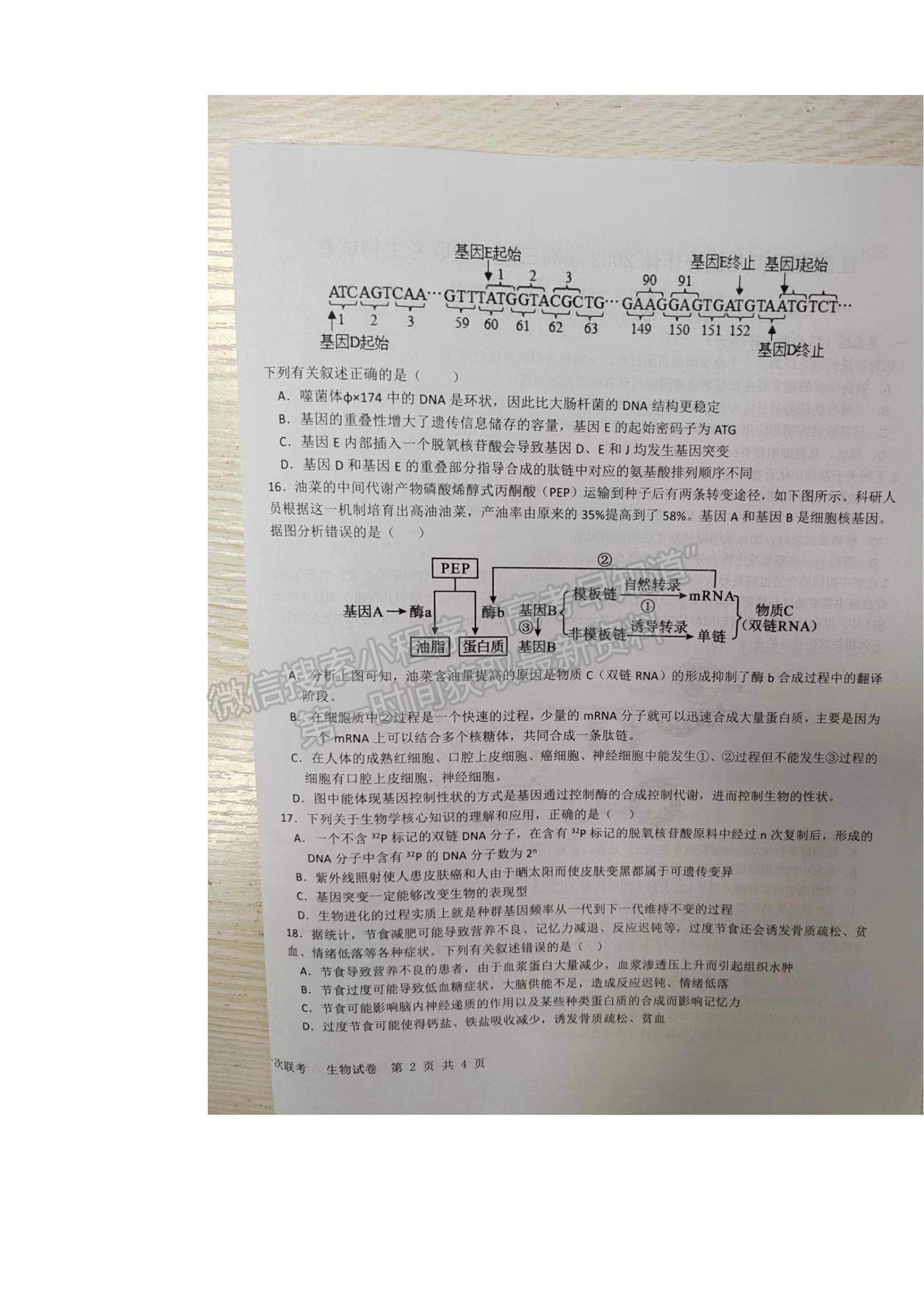 2023江西省五市九校協(xié)作體高三上學期第一次聯(lián)考生物試題及參考答案