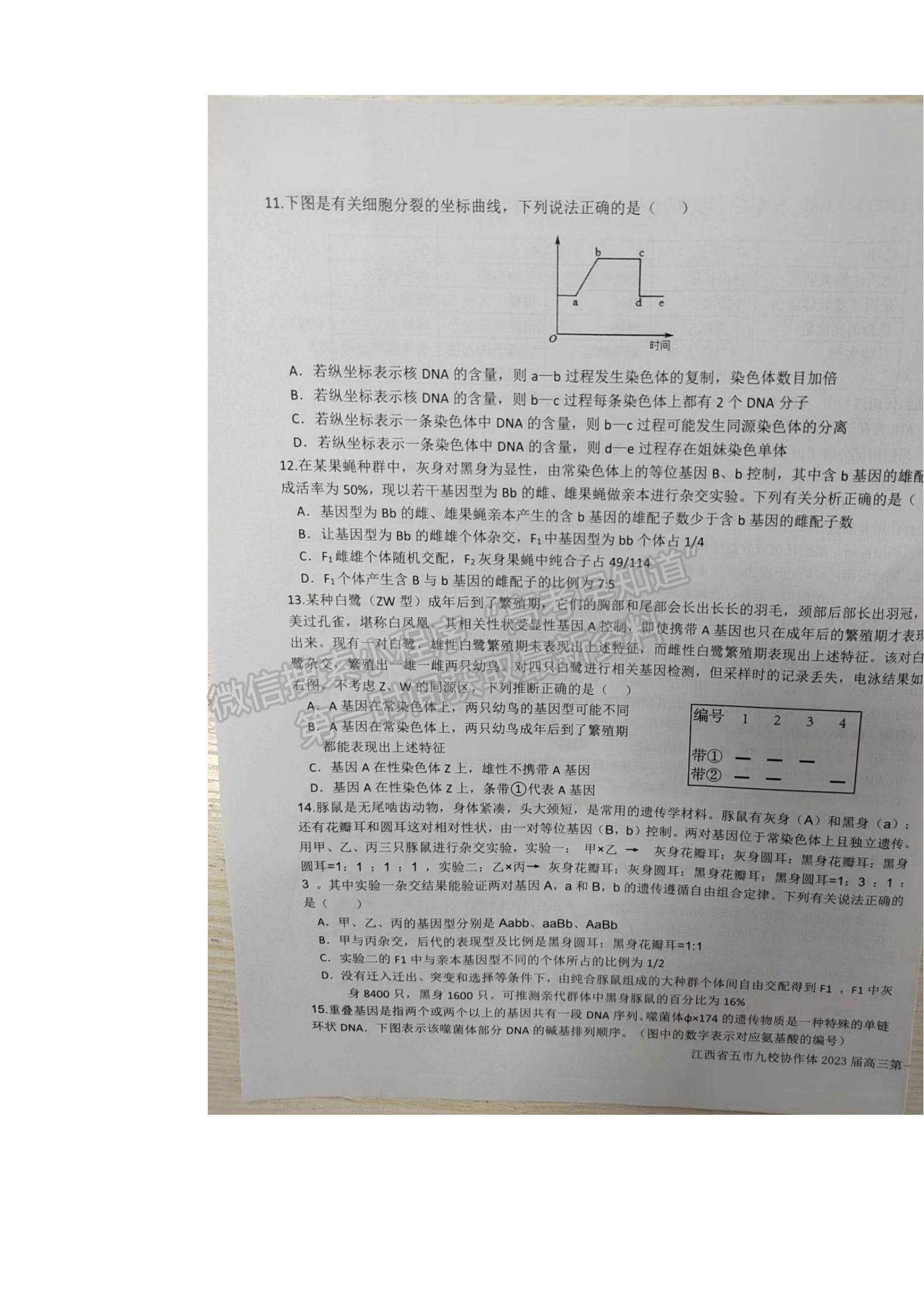 2023江西省五市九校協(xié)作體高三上學期第一次聯(lián)考生物試題及參考答案