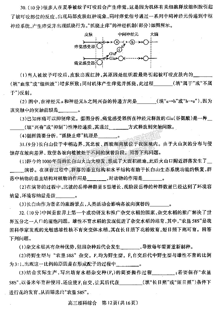 2023河南省平许济洛高三第四次质量检测l理综试题及参考答案