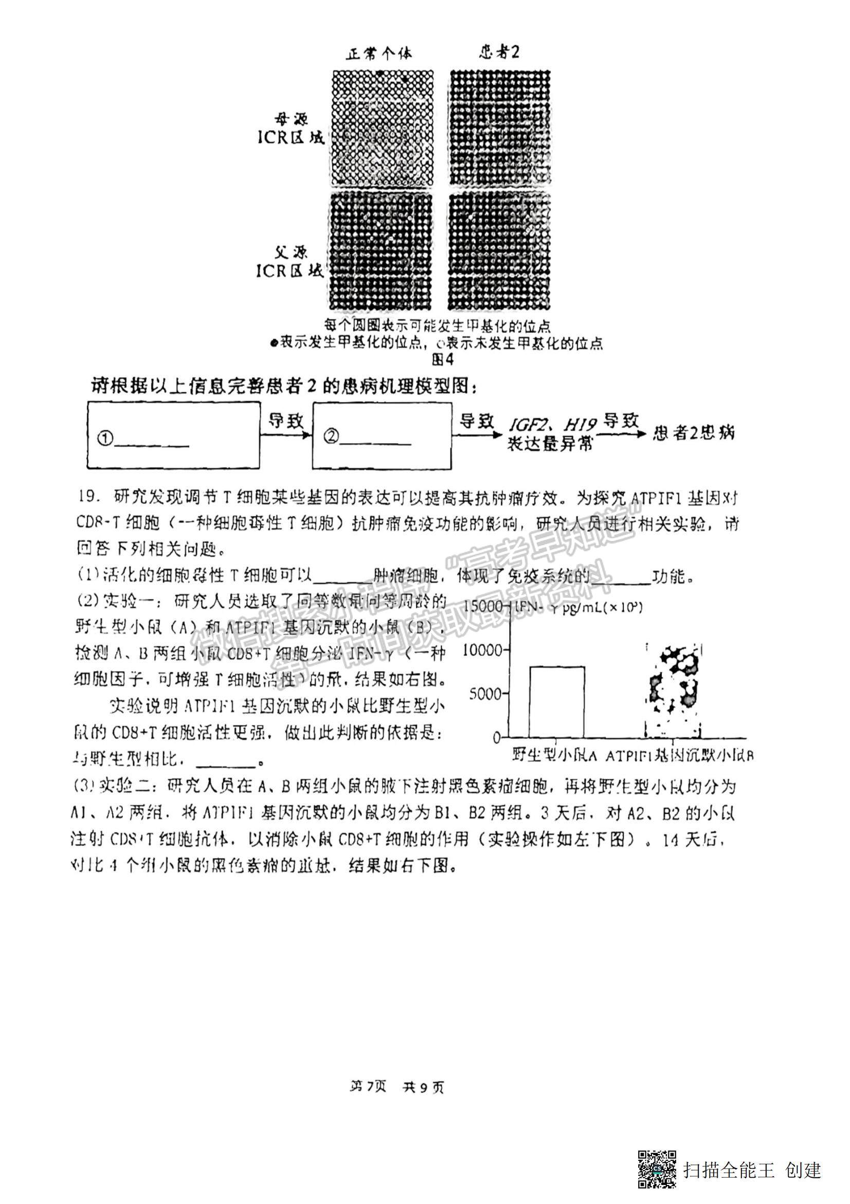 2023福建省廈門一中高三一模生物試題及參考答案