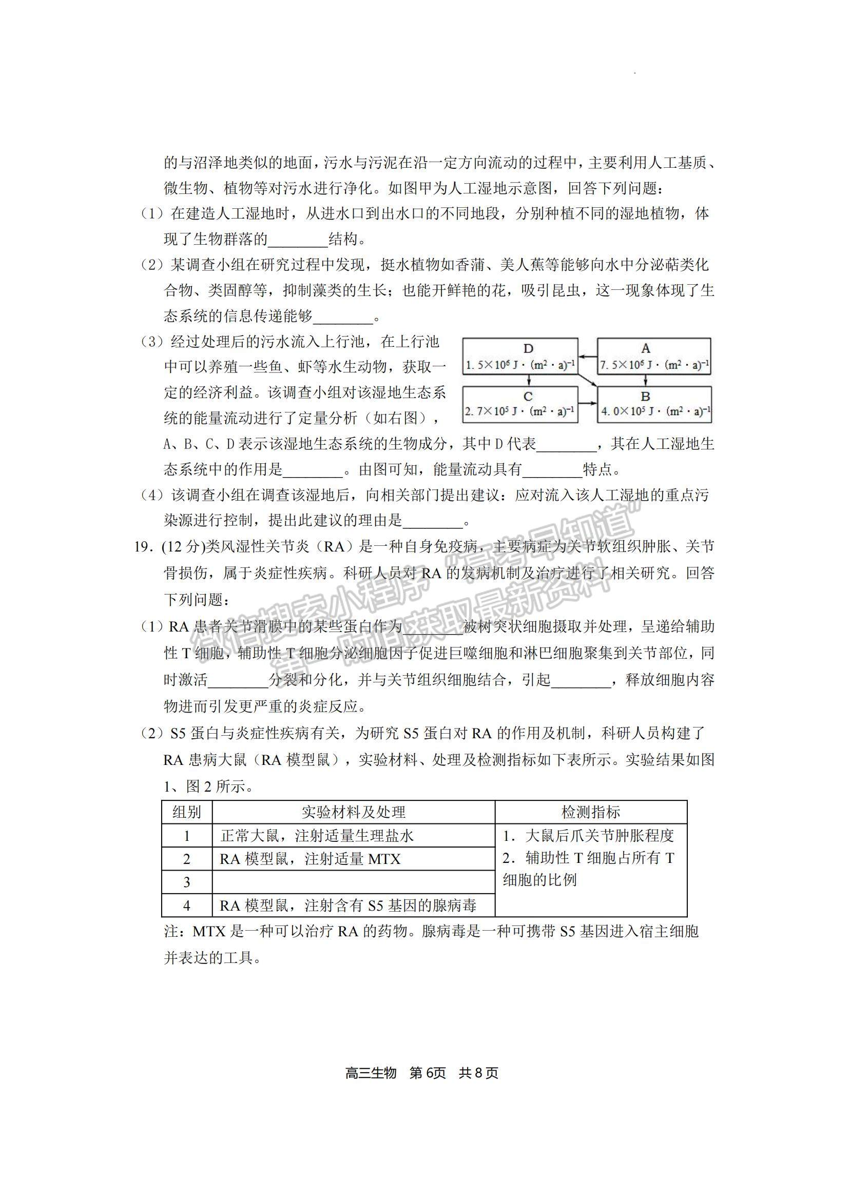 2023福建省寧德市五校教學聯(lián)合體高三3月質檢生物試題及參考答案