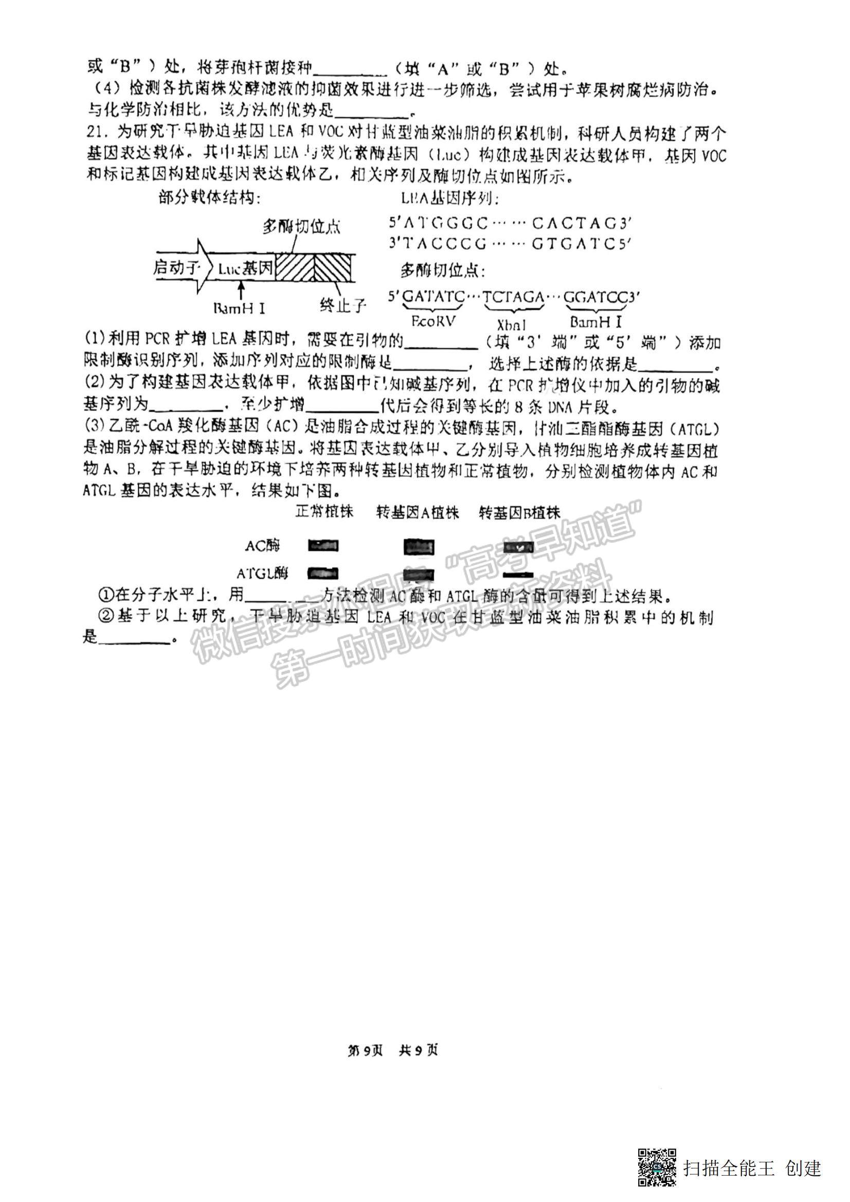 2023福建省廈門一中高三一模生物試題及參考答案