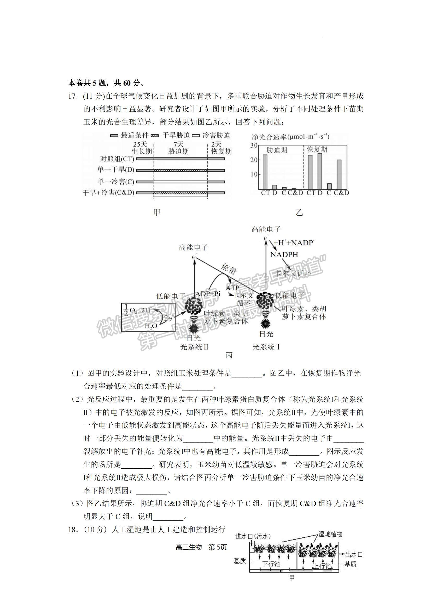 2023福建省寧德市五校教學聯(lián)合體高三3月質檢生物試題及參考答案