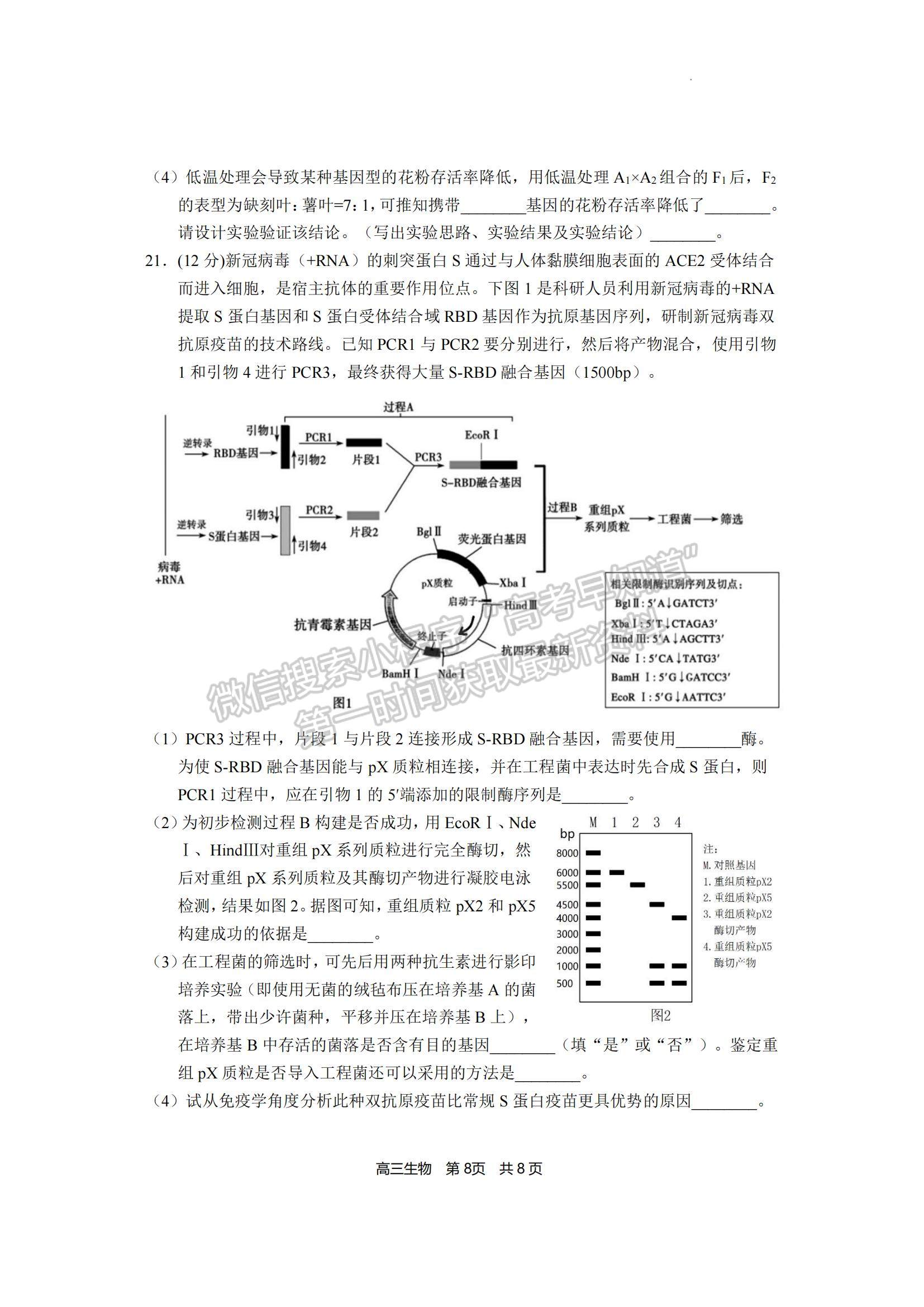 2023福建省寧德市五校教學聯(lián)合體高三3月質檢生物試題及參考答案