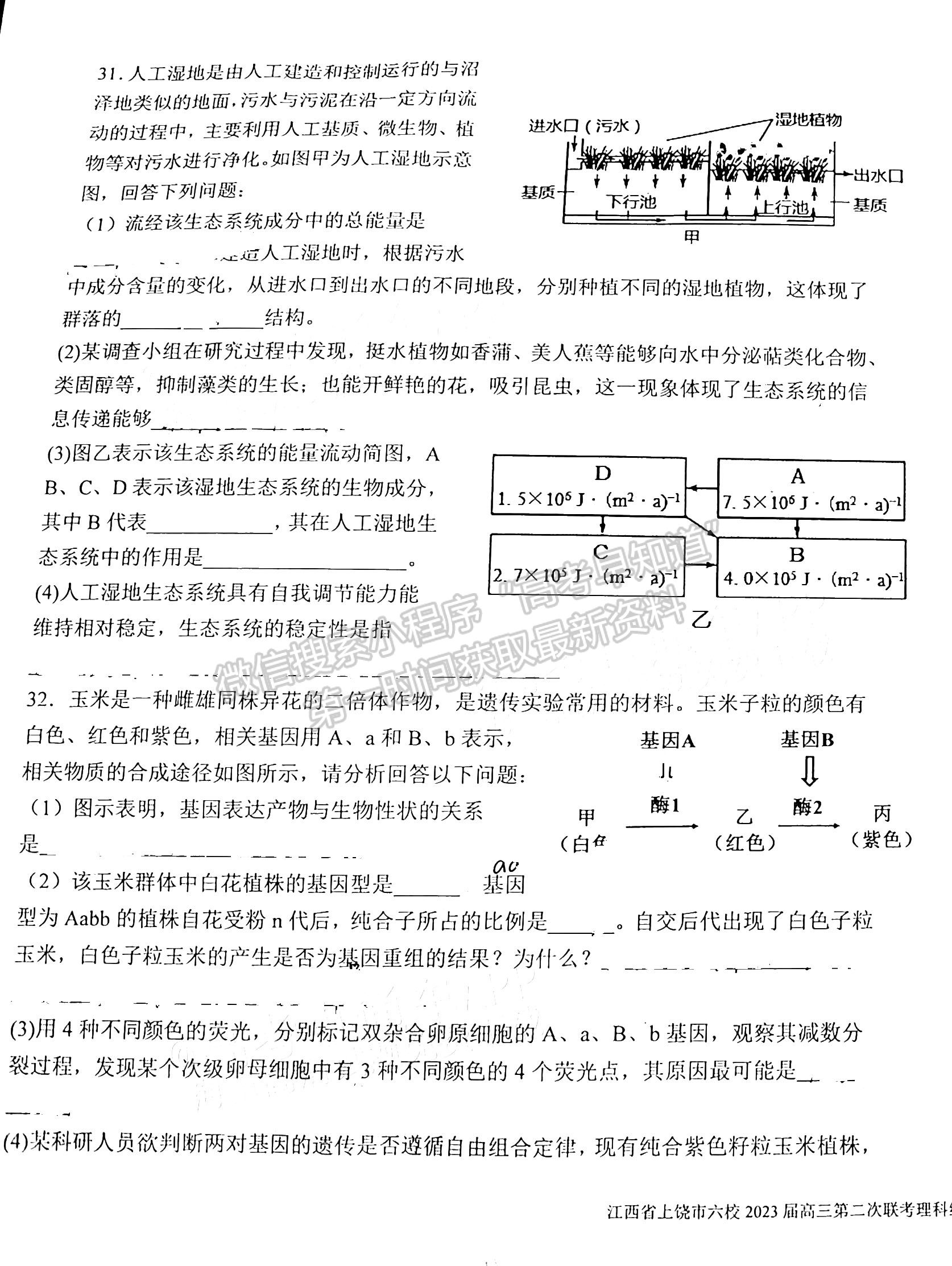 2023江西上饶六校高三5月联考理综