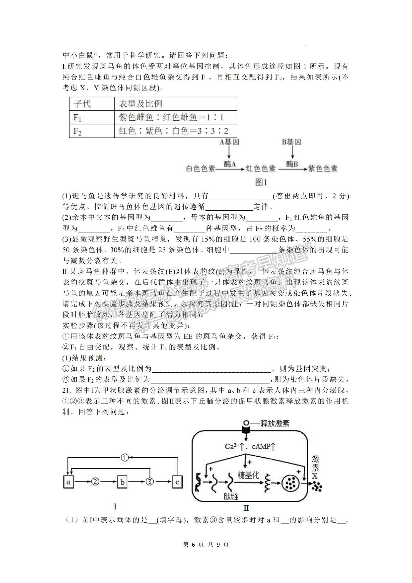 2023河北省部分學(xué)校高三下學(xué)期二模聯(lián)考生物試題及參考答案