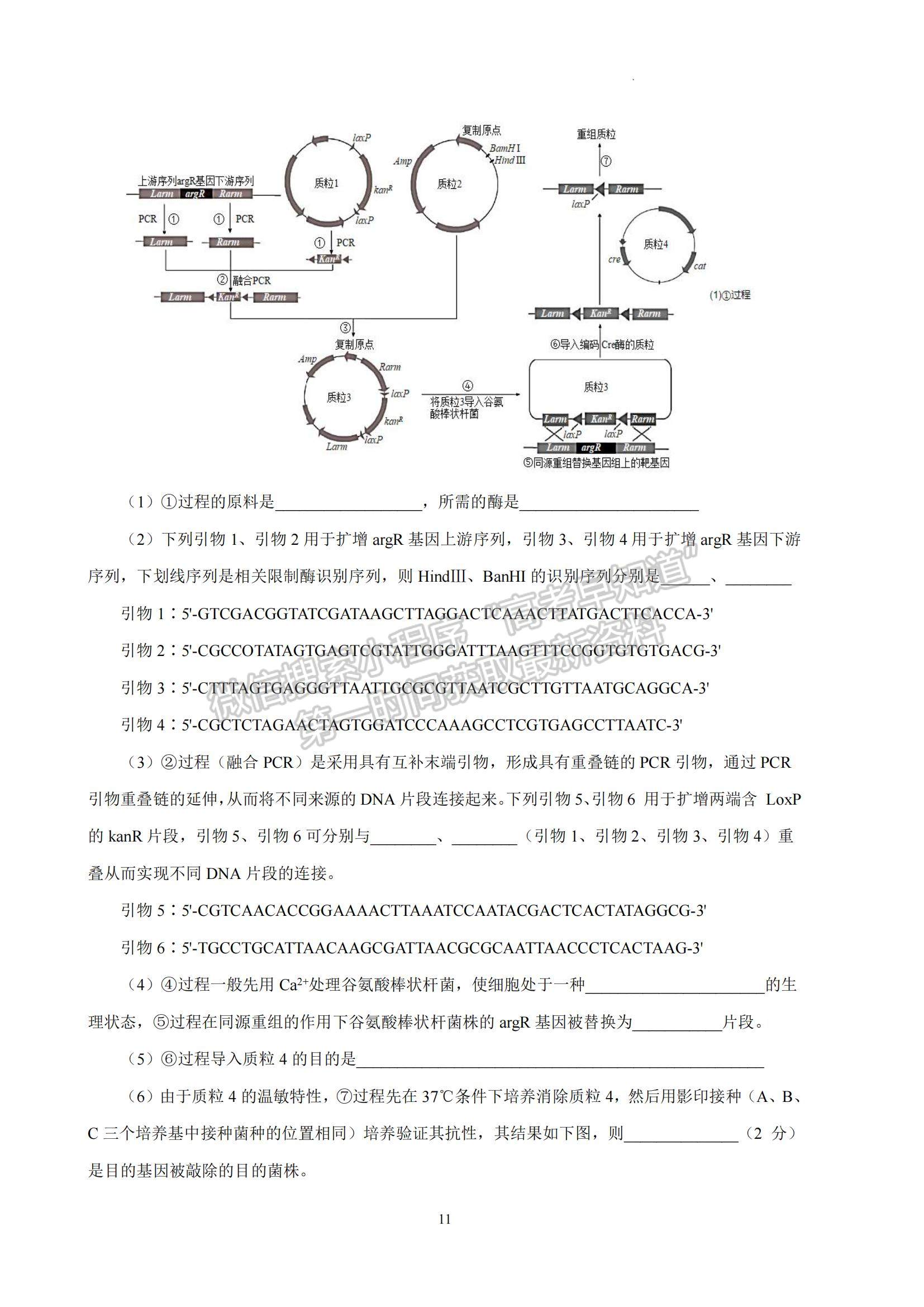 2023江蘇省南京師范大學(xué)附屬中學(xué)高三一模適應(yīng)性考試生物試題及參考答案