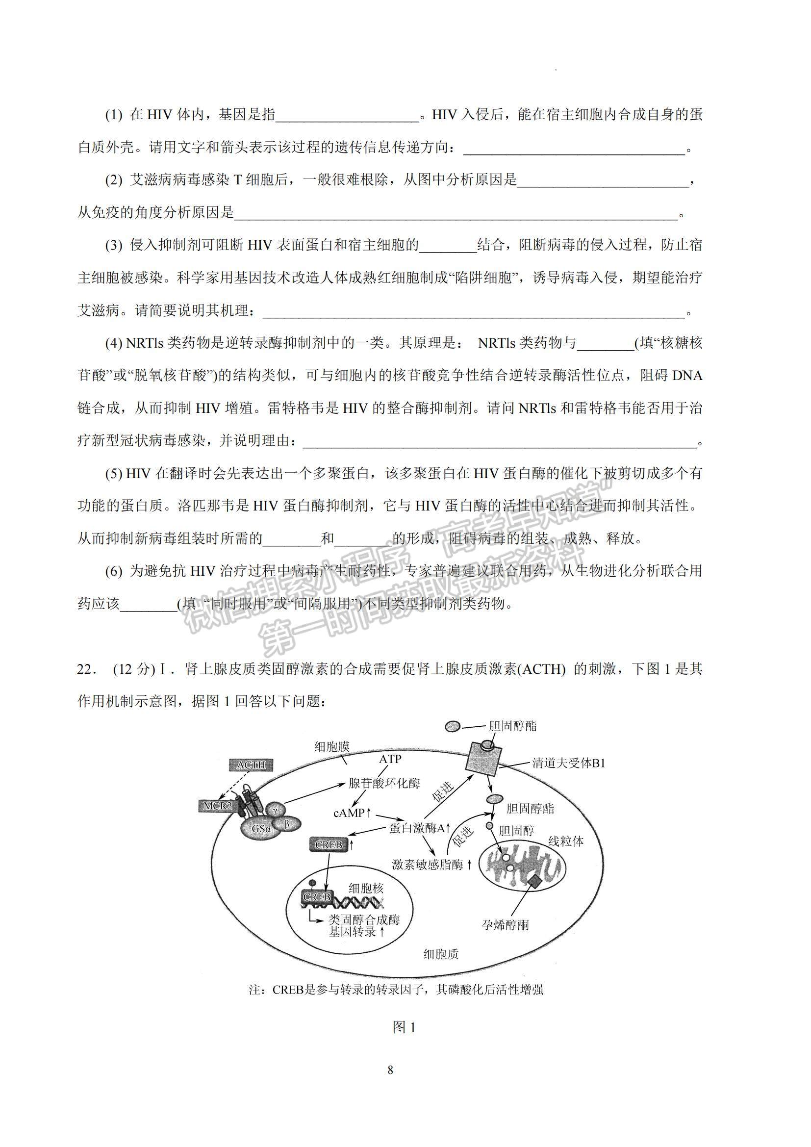 2023江蘇省南京師范大學(xué)附屬中學(xué)高三一模適應(yīng)性考試生物試題及參考答案