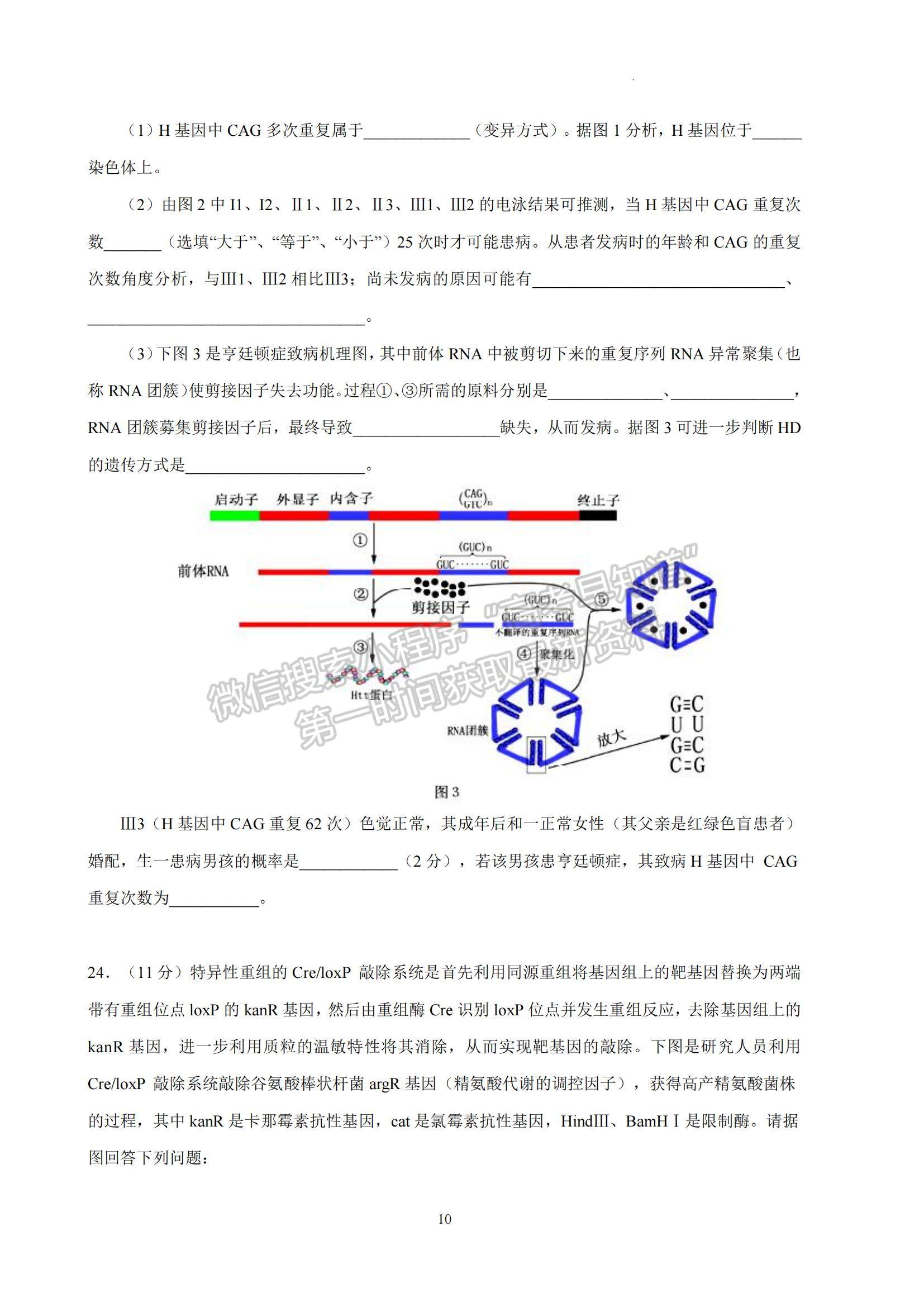 2023江蘇省南京師范大學(xué)附屬中學(xué)高三一模適應(yīng)性考試生物試題及參考答案