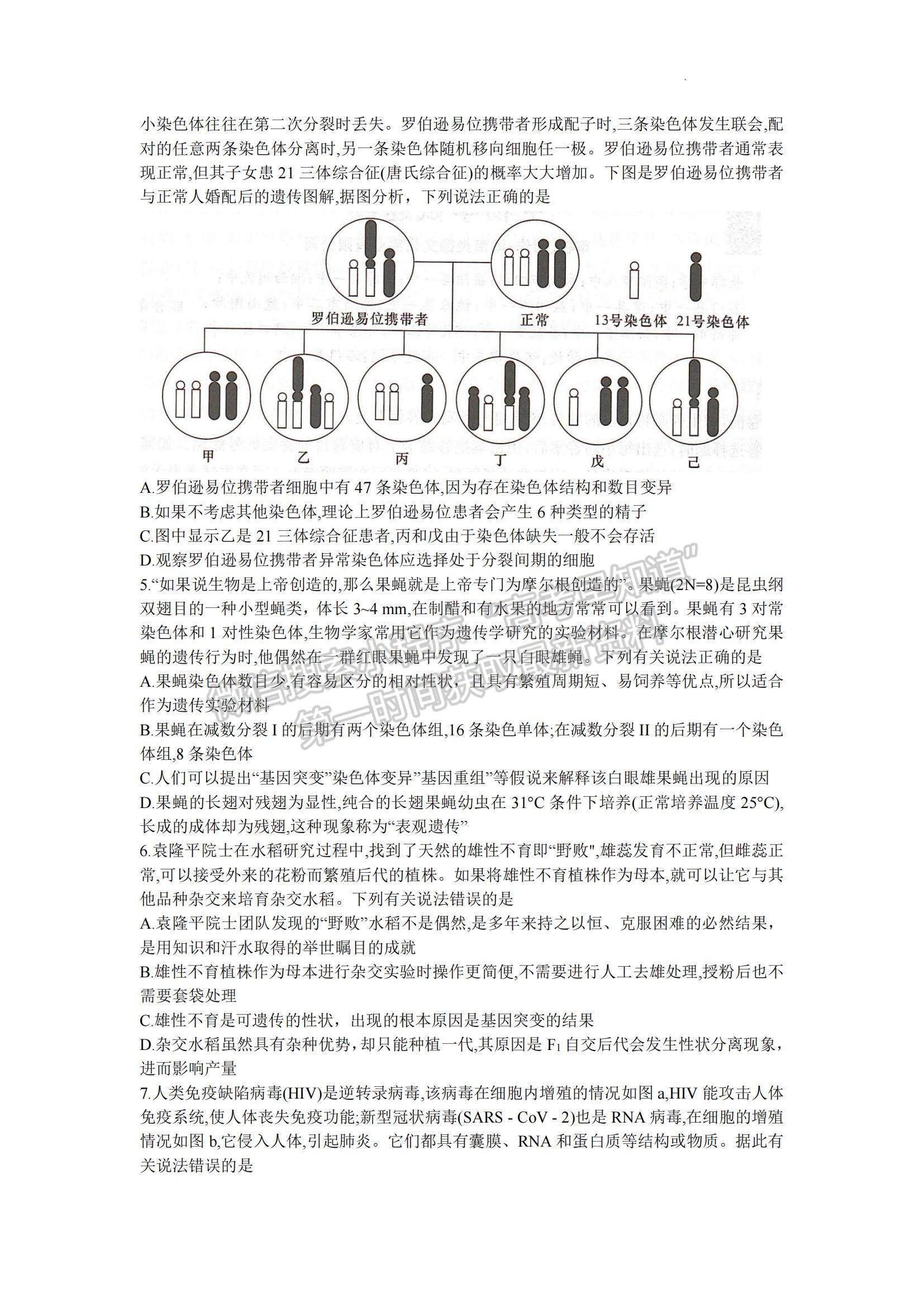 2023湖南省十八校教研聯(lián)盟考試高三4月期中考試生物試題及參考答案