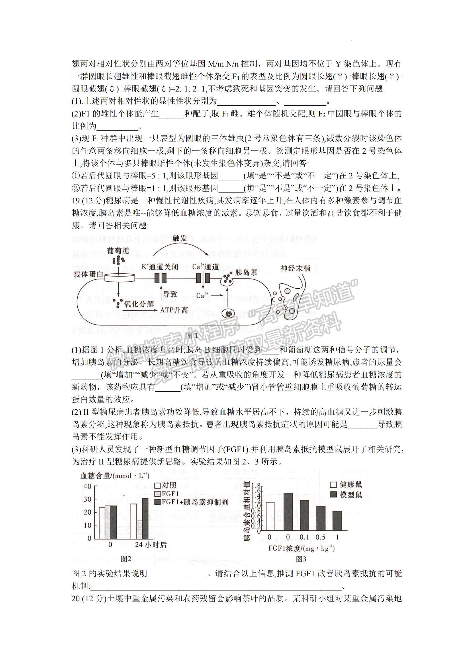 2023湖南省十八校教研聯(lián)盟考試高三4月期中考試生物試題及參考答案