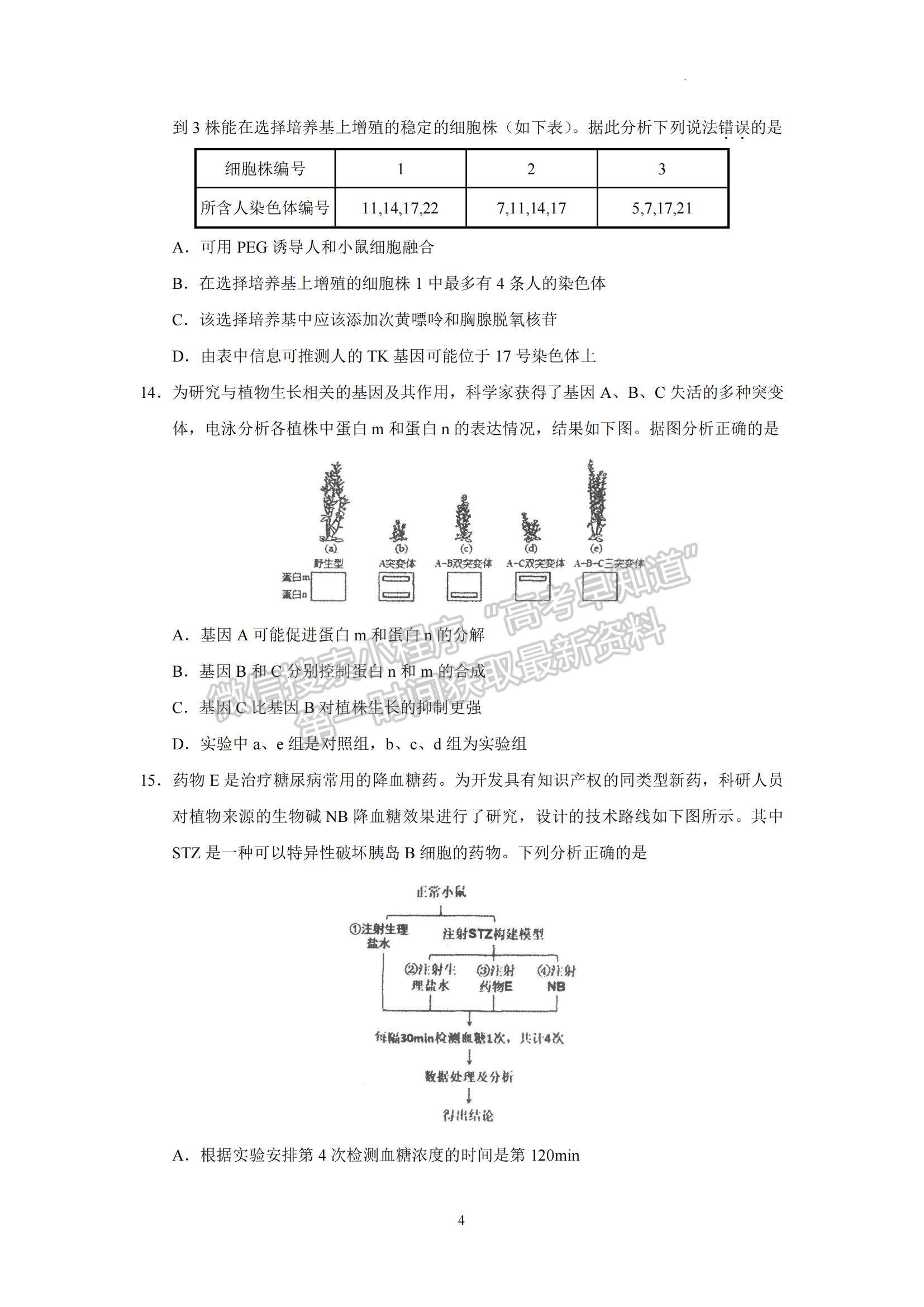 2023廣東省汕頭市金山中學高三下學期一模生物試題及參考答案