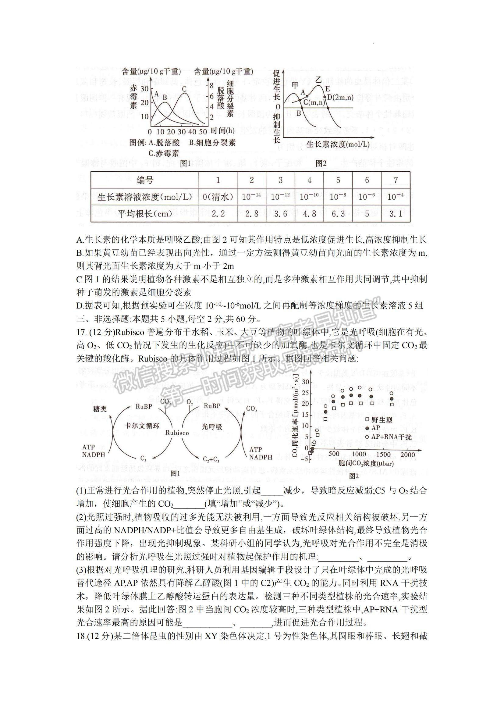 2023湖南省十八校教研聯(lián)盟考試高三4月期中考試生物試題及參考答案