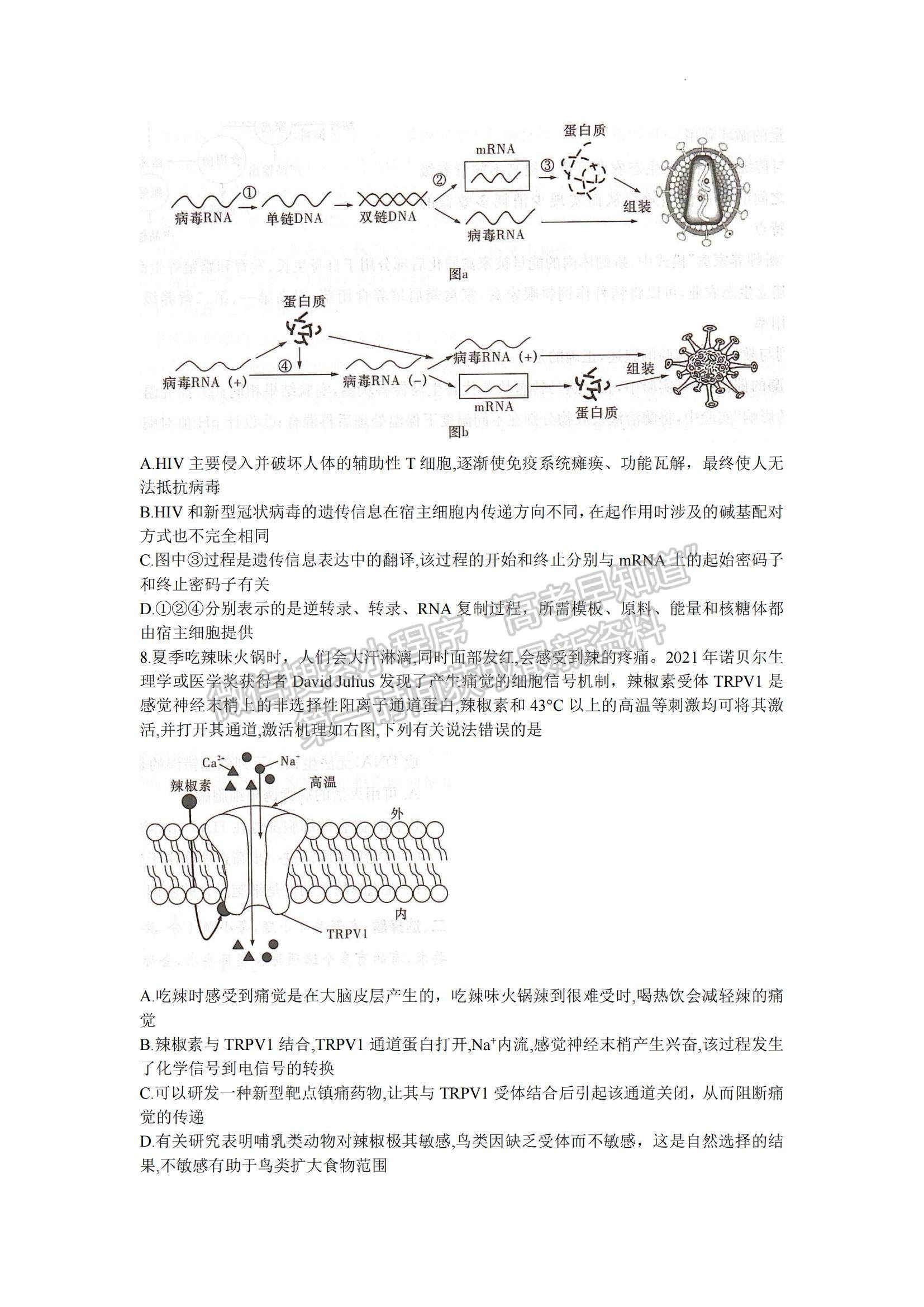 2023湖南省十八校教研聯(lián)盟考試高三4月期中考試生物試題及參考答案