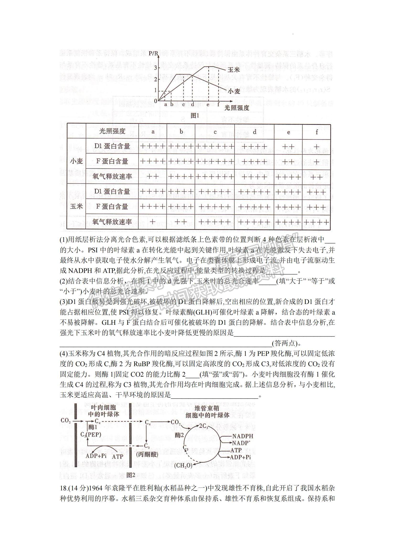 2023湖南省長沙一中高三下學(xué)期月考（八）生物試題及參考答案