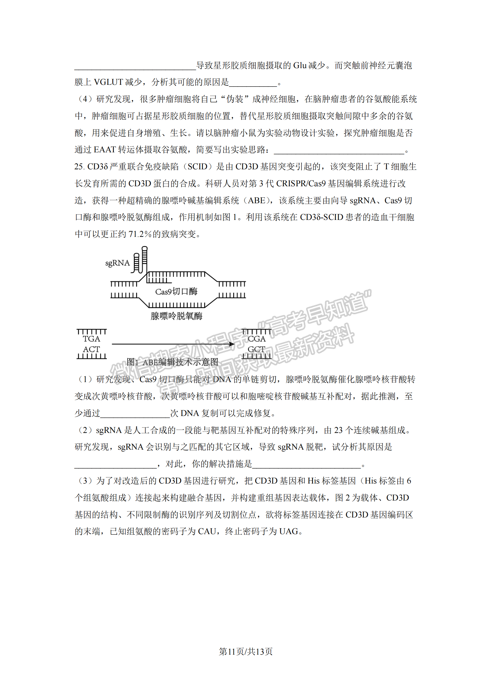 2023山東省青島市二模-生物試卷及答案