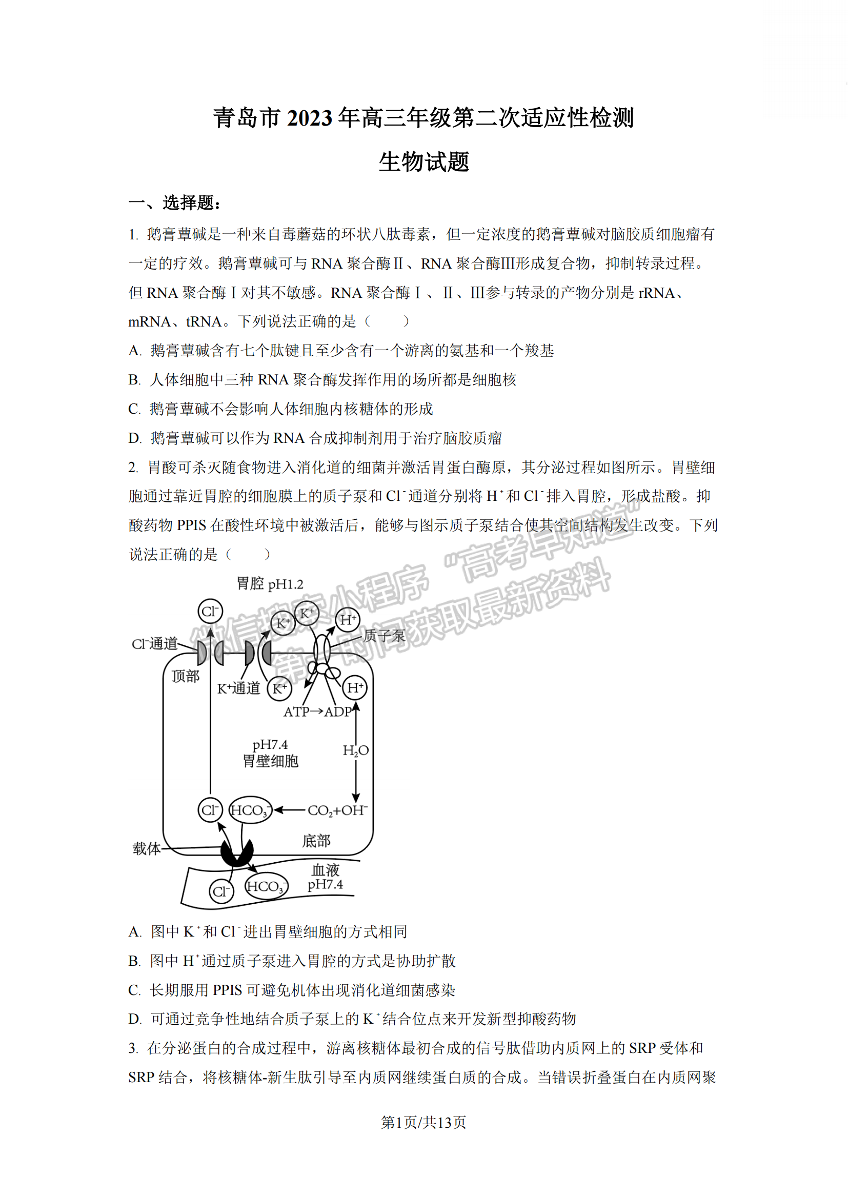 2023山東省青島市二模-生物試卷及答案