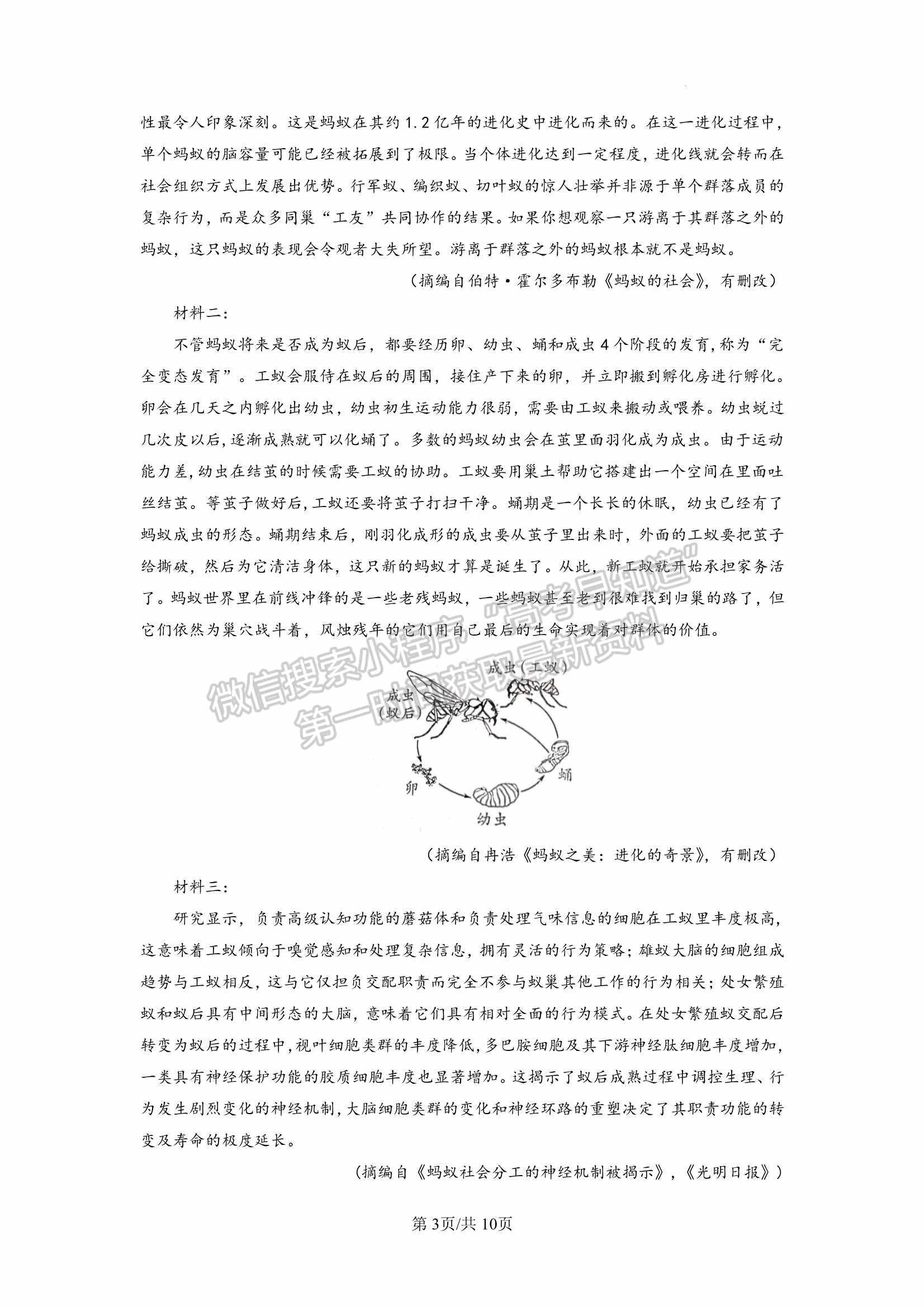 2023四川綿陽(yáng)南山中學(xué)高三下學(xué)期高考仿真考試語(yǔ)文試題及答案