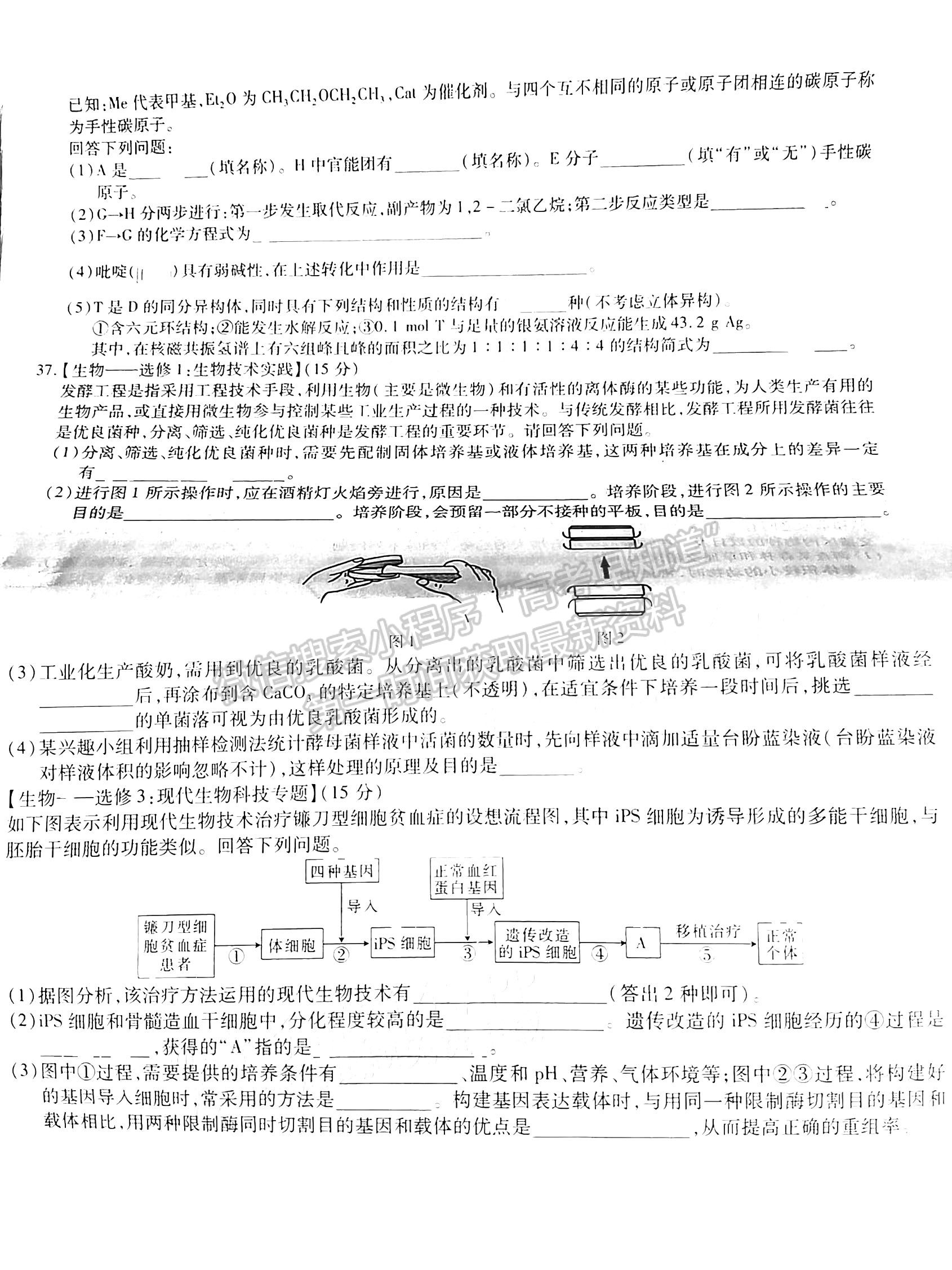 2023江西穩(wěn)派高三5月聯(lián)考理綜