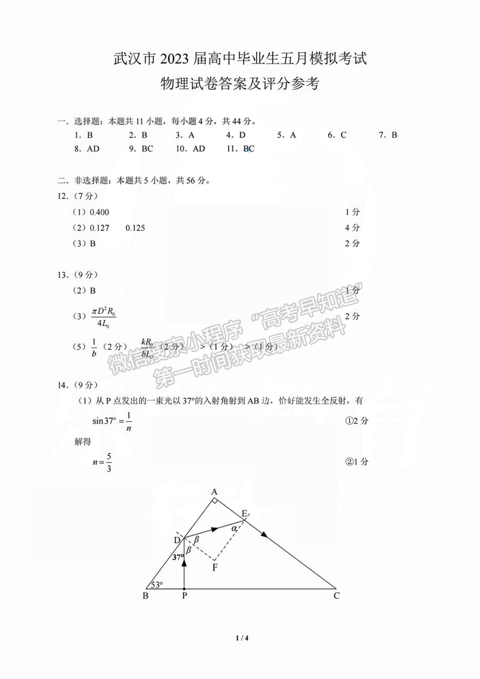 2023年武漢市高三五月模擬訓(xùn)練物理試卷及參考答案