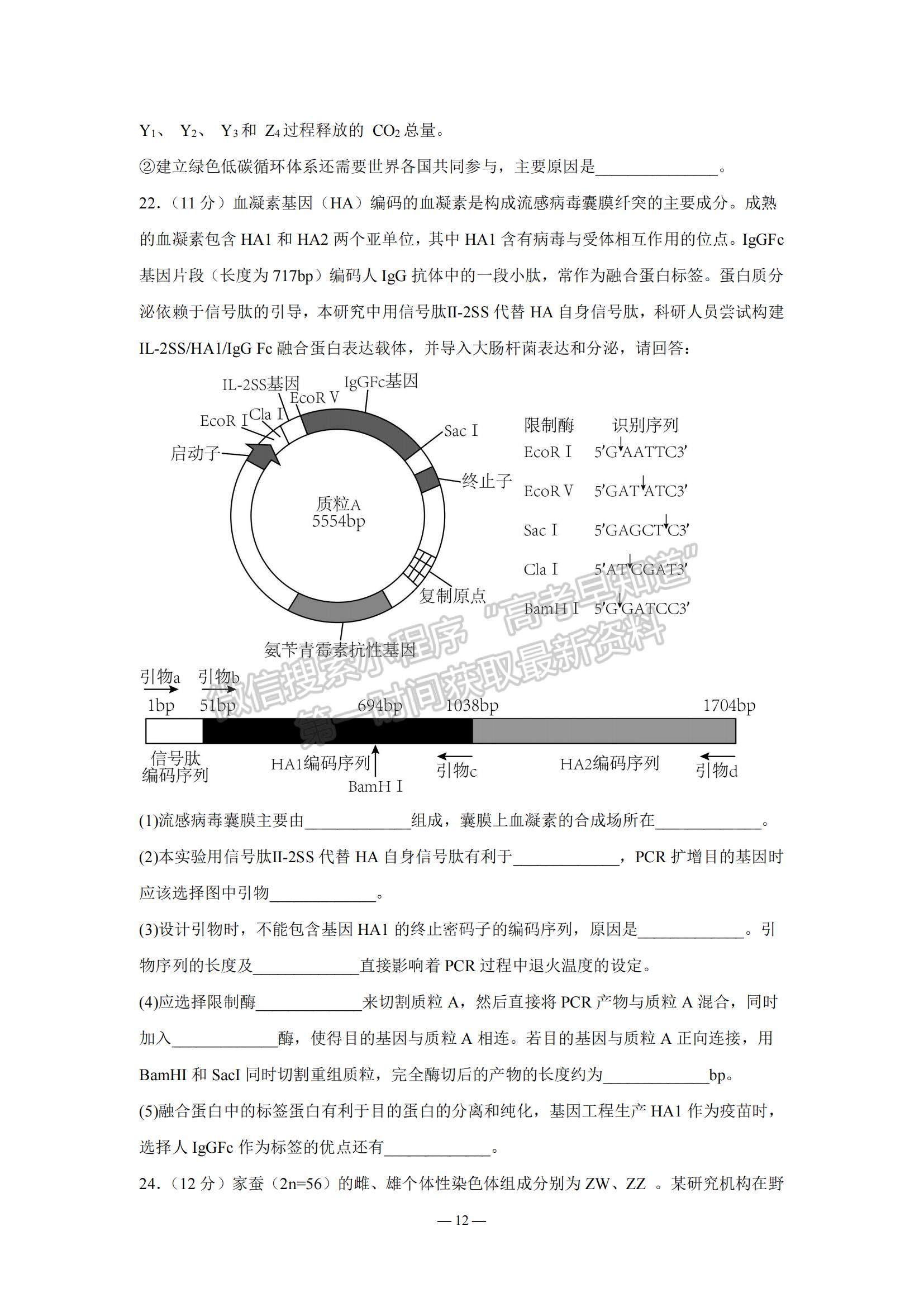 2023江蘇省南京市中華中學(xué)、南京師范大學(xué)附屬中學(xué)江寧分校等2校高三一模生物試題及參考答案