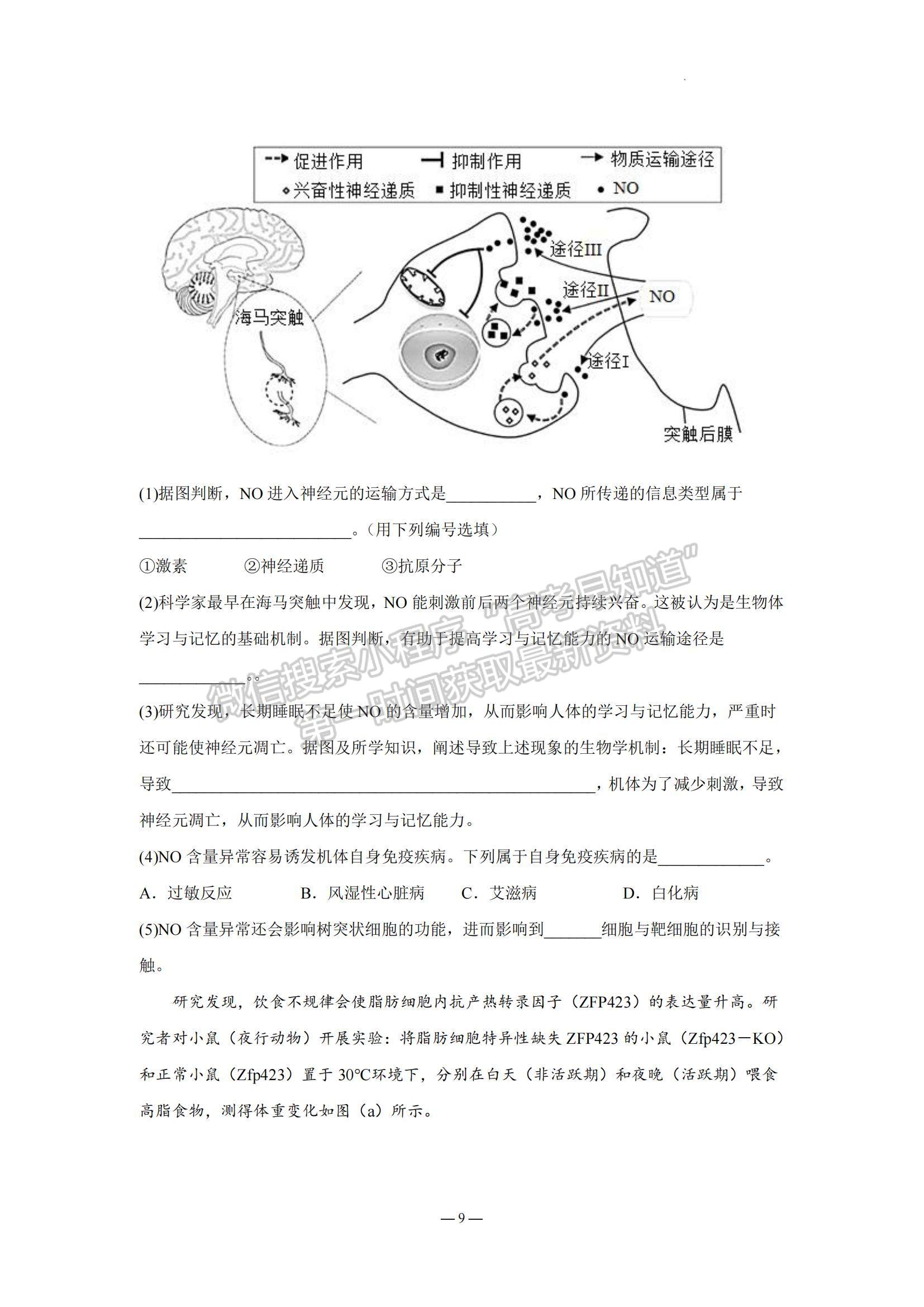 2023江蘇省南京市中華中學(xué)、南京師范大學(xué)附屬中學(xué)江寧分校等2校高三一模生物試題及參考答案