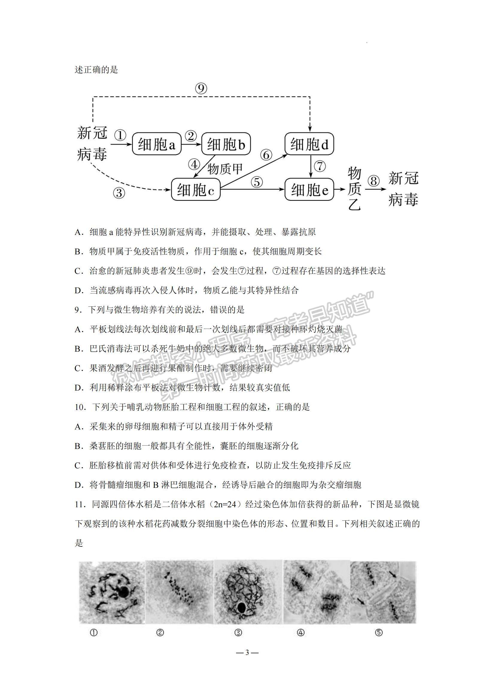 2023江蘇省南京市中華中學(xué)、南京師范大學(xué)附屬中學(xué)江寧分校等2校高三一模生物試題及參考答案