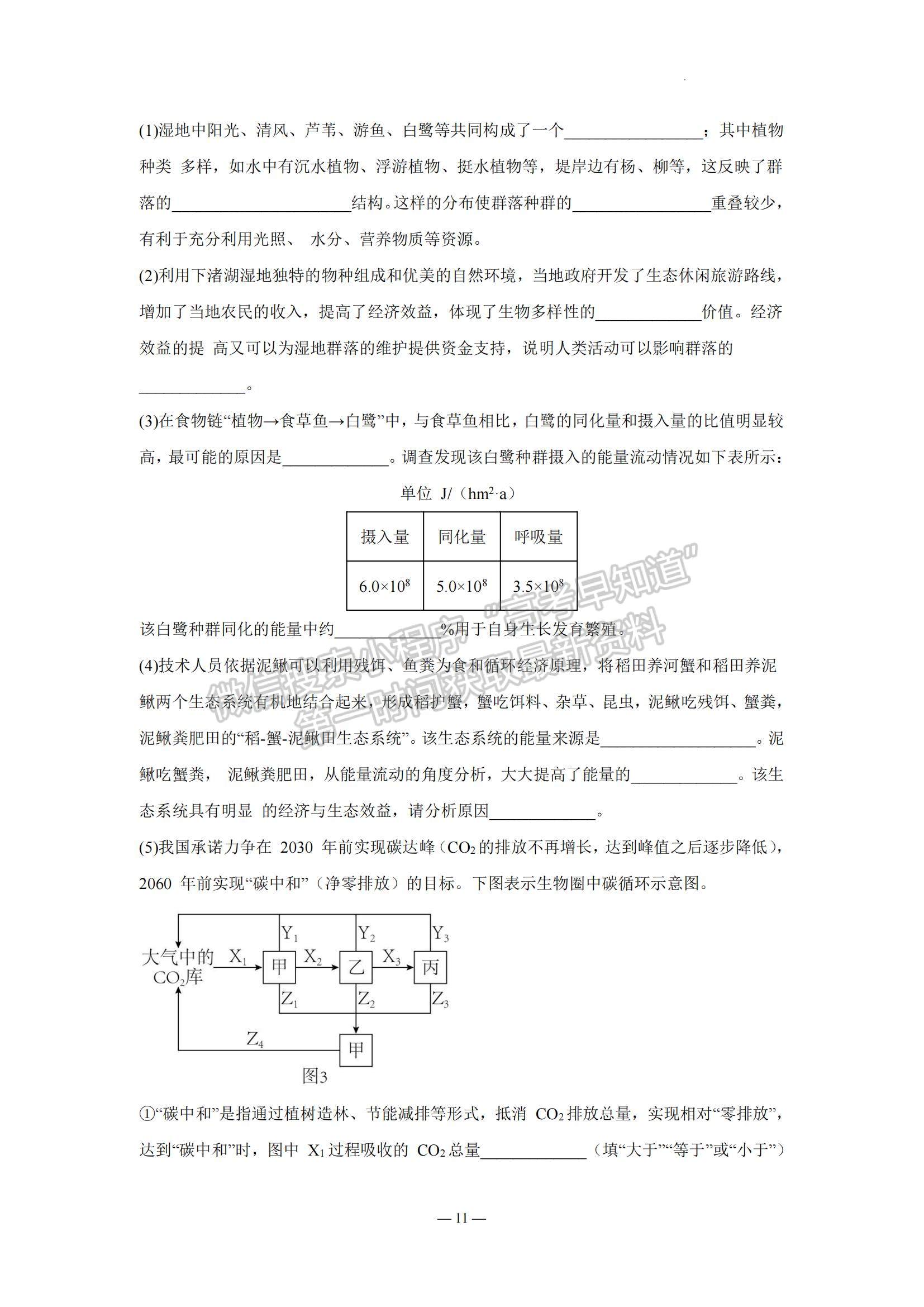 2023江蘇省南京市中華中學(xué)、南京師范大學(xué)附屬中學(xué)江寧分校等2校高三一模生物試題及參考答案