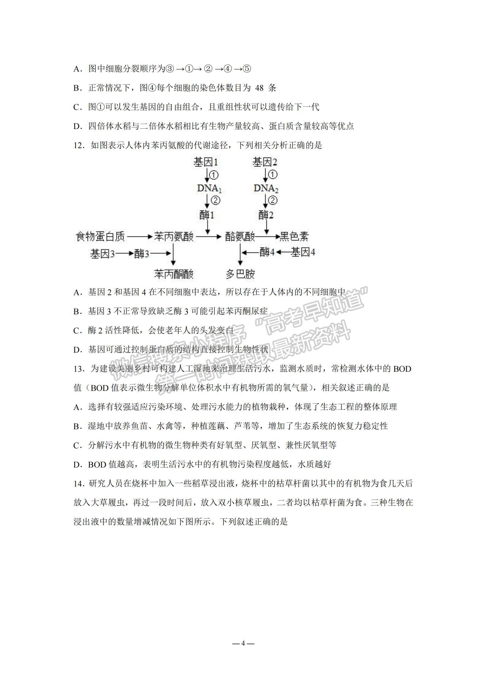 2023江蘇省南京市中華中學(xué)、南京師范大學(xué)附屬中學(xué)江寧分校等2校高三一模生物試題及參考答案