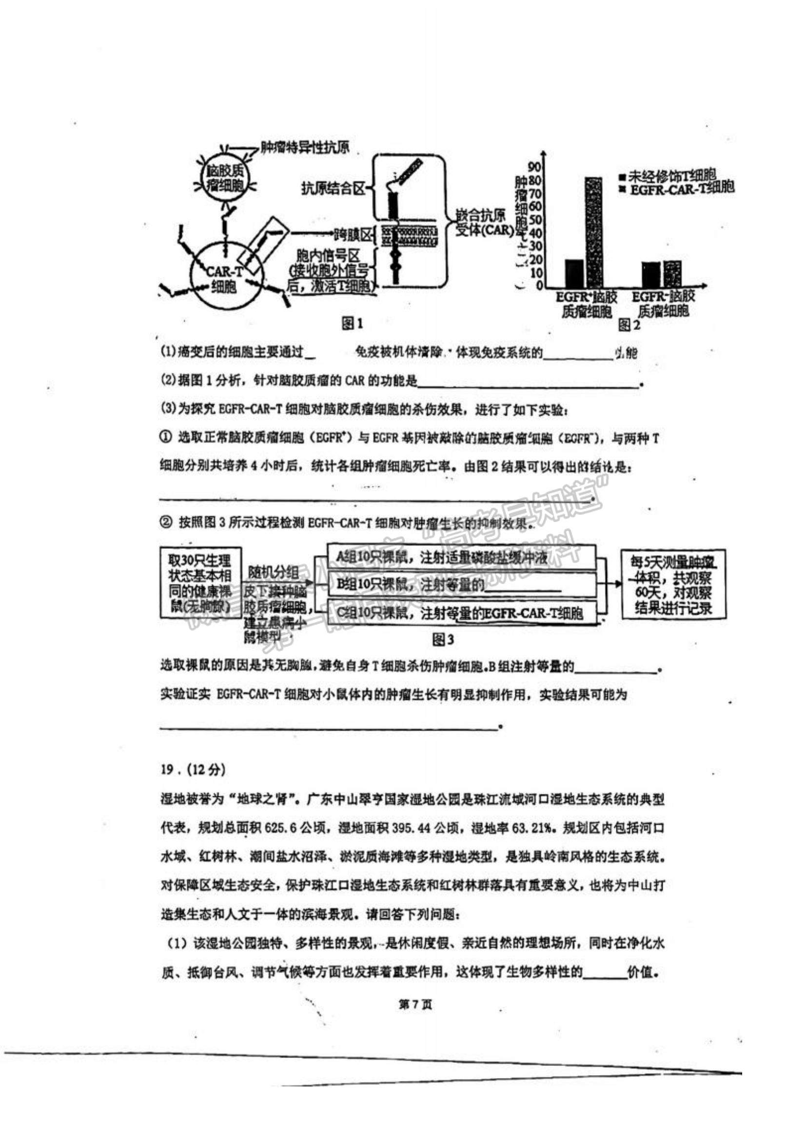 2023廣東省六校高三第一次聯(lián)考生物試題及參考答案