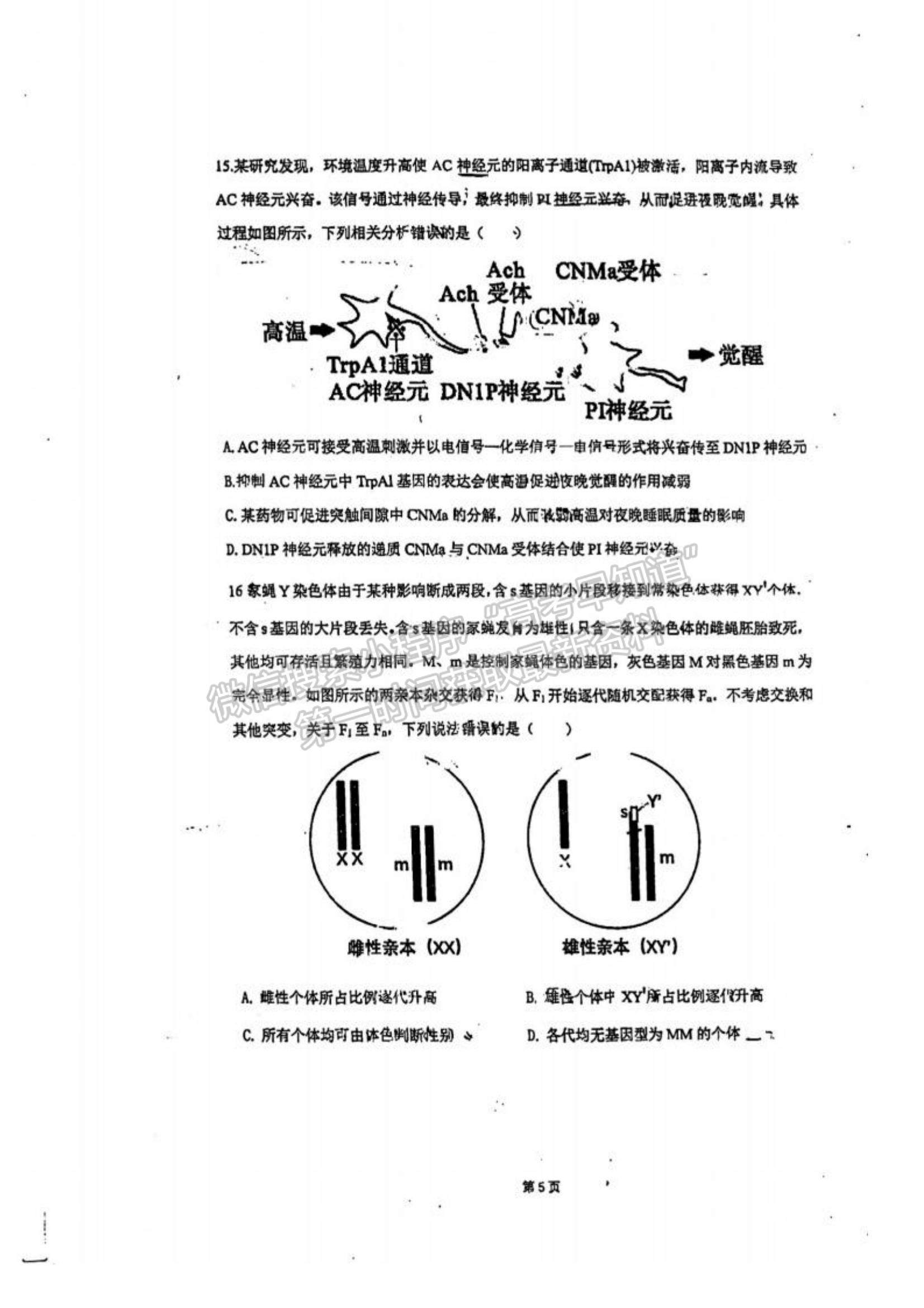 2023廣東省六校高三第一次聯(lián)考生物試題及參考答案