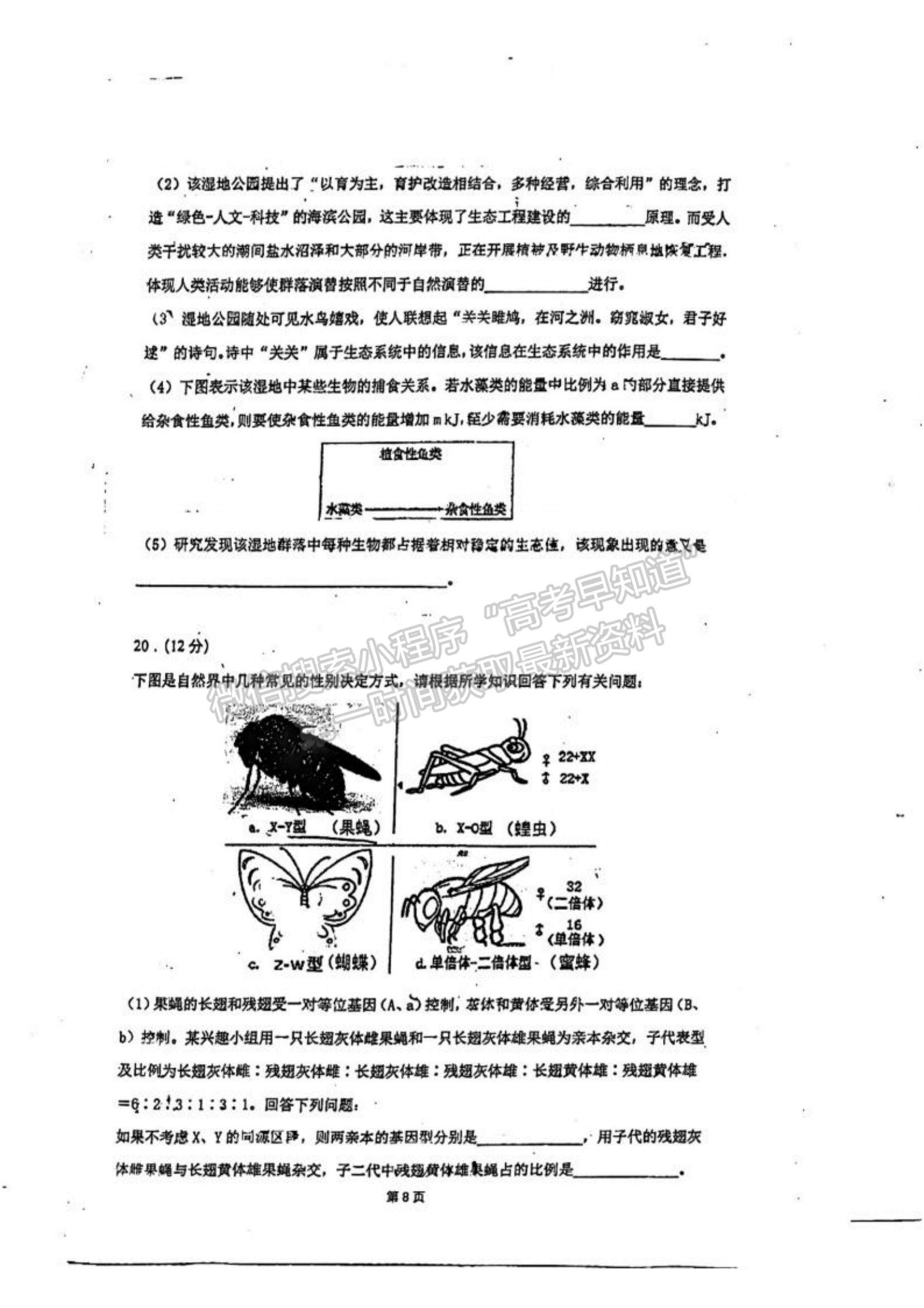 2023廣東省六校高三第一次聯(lián)考生物試題及參考答案