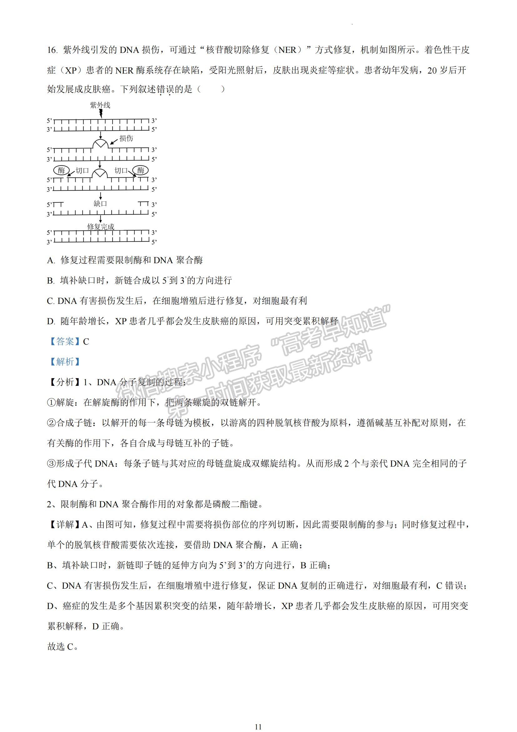 2023年浙江省6月二次选考高考真题生物试题及答案