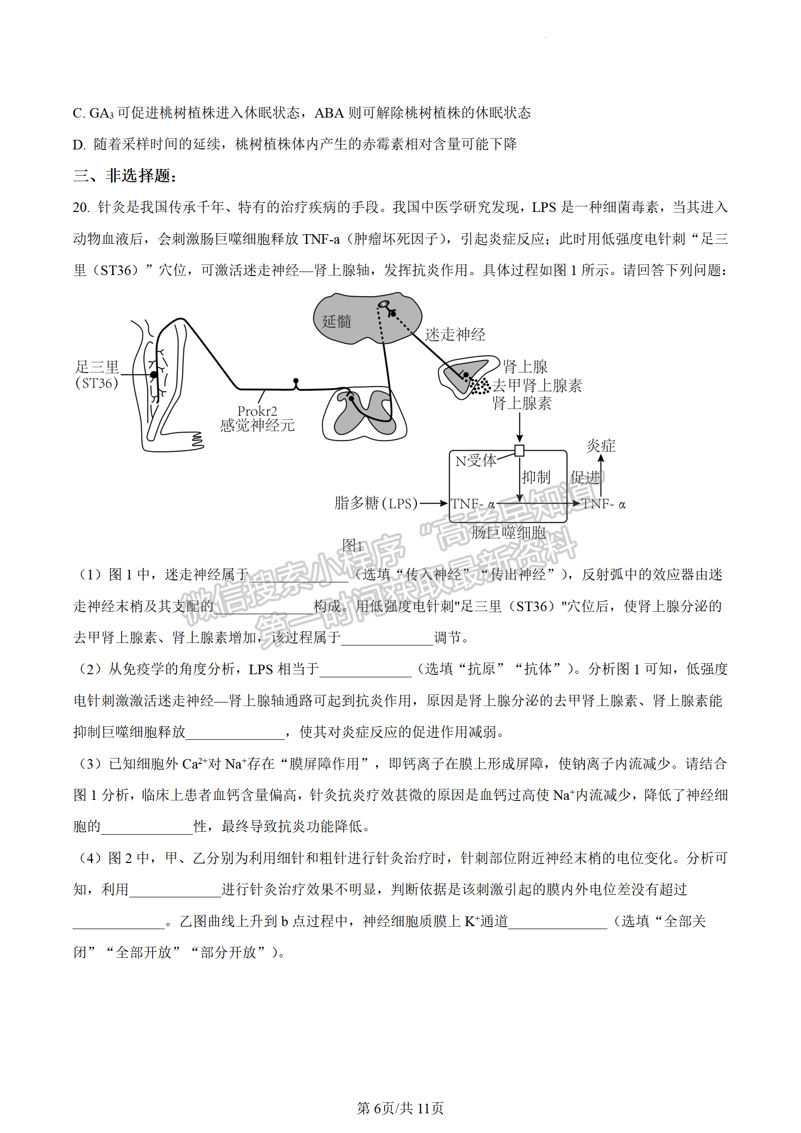 2023江蘇省鹽城市高二下學(xué)期期末生物試題及答案