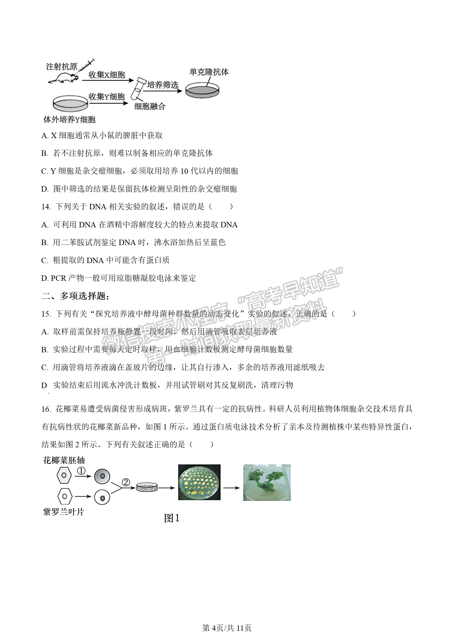 2023江蘇省鹽城市高二下學期期末生物試題及答案