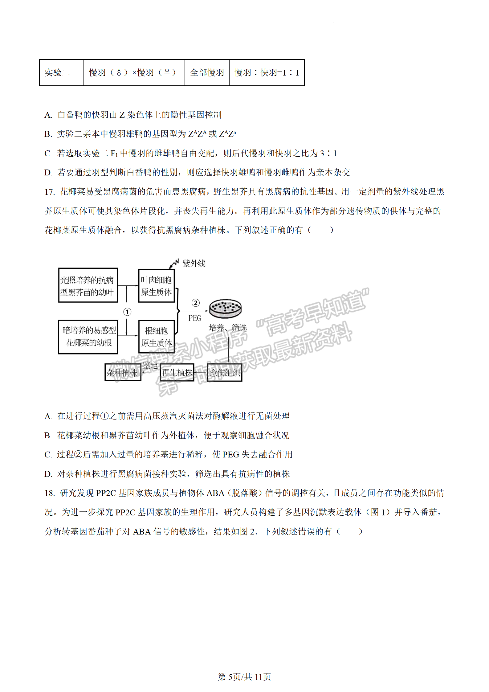 2023江蘇省蘇州市高二下學(xué)期期末學(xué)業(yè)質(zhì)量陽光指標(biāo)調(diào)研生物試題及答案