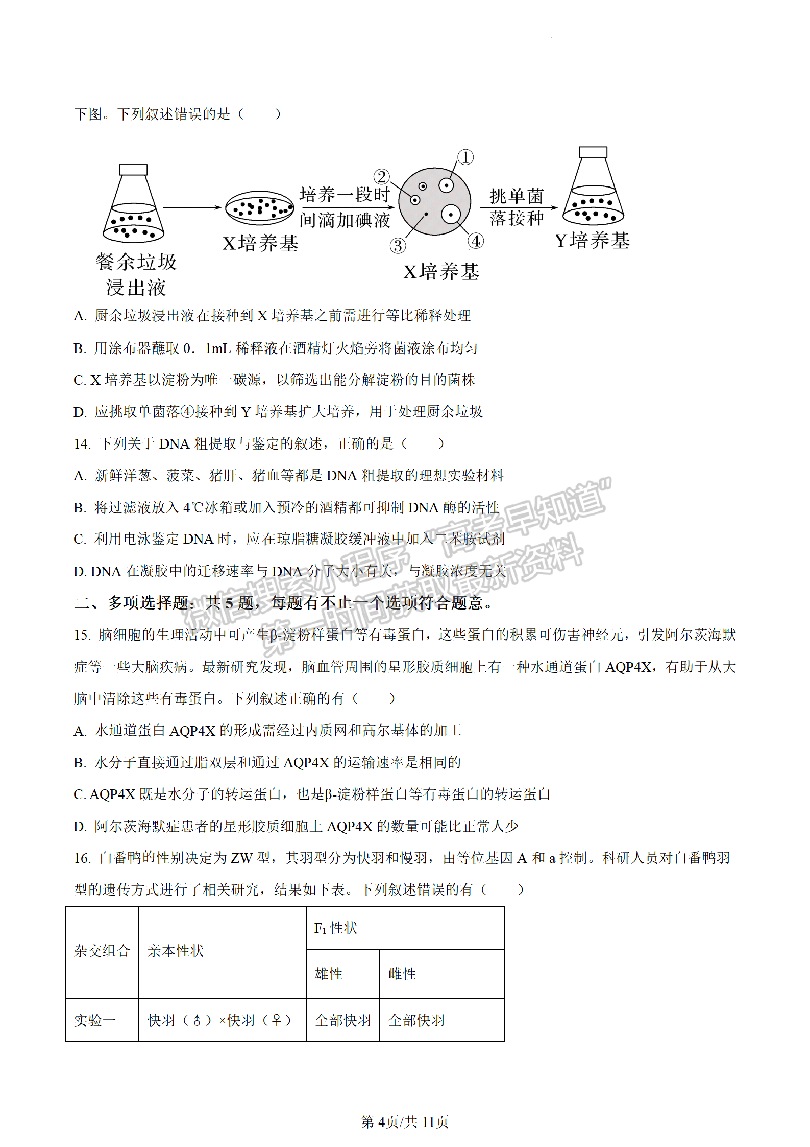 2023江蘇省蘇州市高二下學(xué)期期末學(xué)業(yè)質(zhì)量陽(yáng)光指標(biāo)調(diào)研生物試題及答案