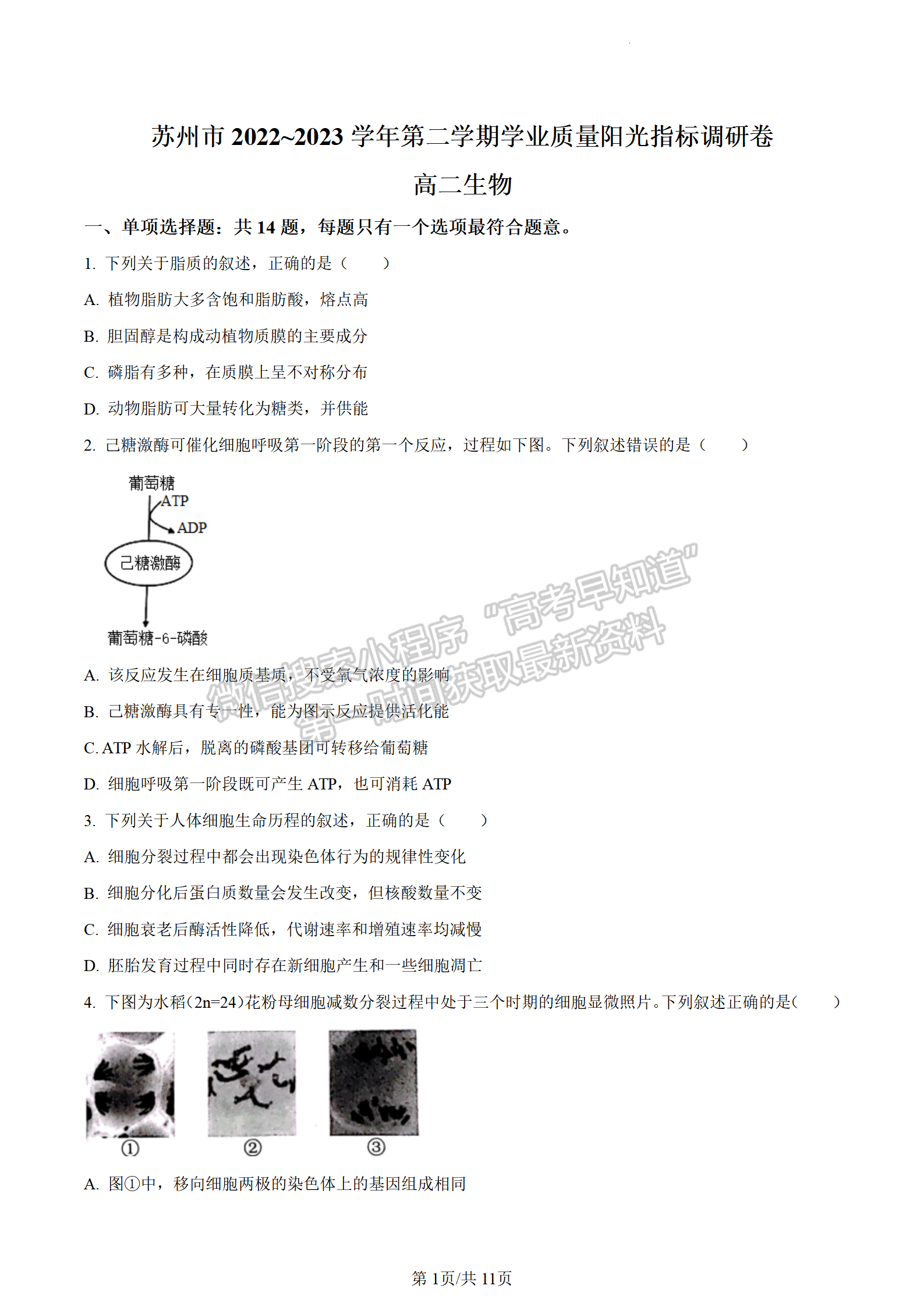 2023江蘇省蘇州市高二下學(xué)期期末學(xué)業(yè)質(zhì)量陽(yáng)光指標(biāo)調(diào)研生物試題及答案