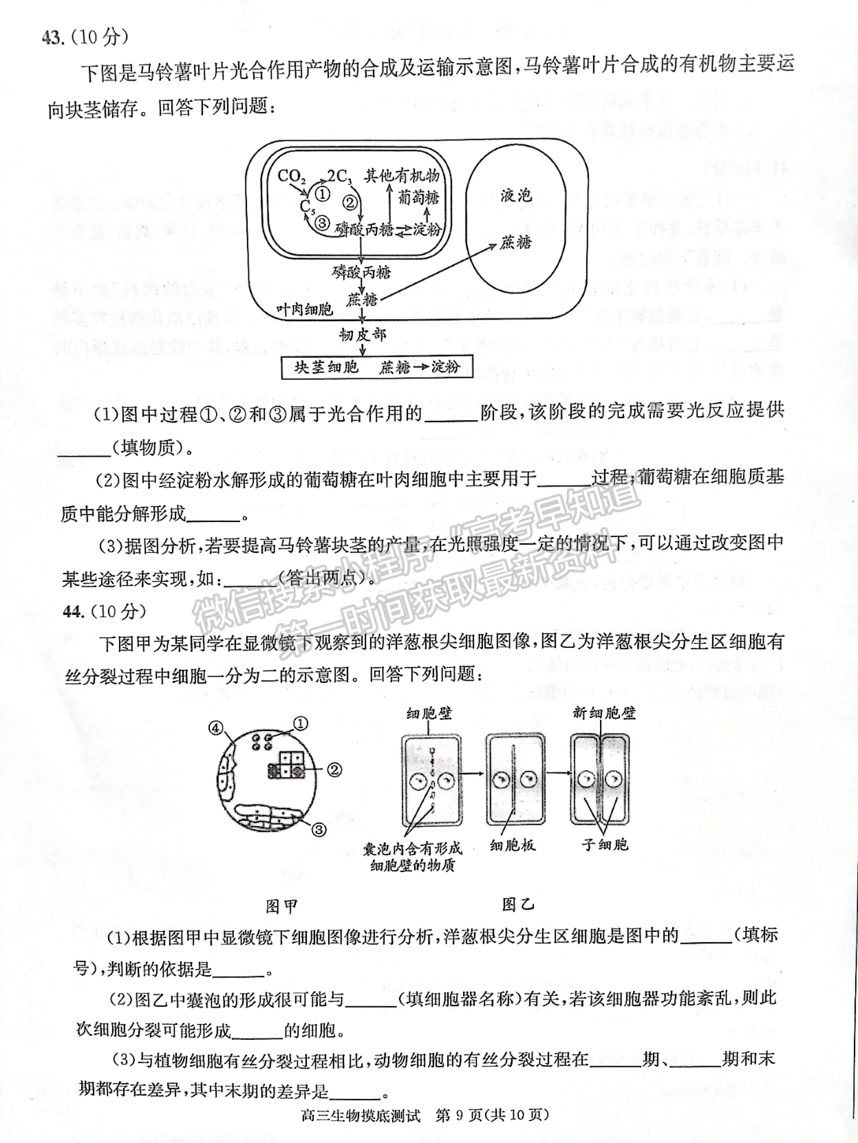 2024屆四川省成都市高2021級高中畢業(yè)班摸底測試生物試題及答案