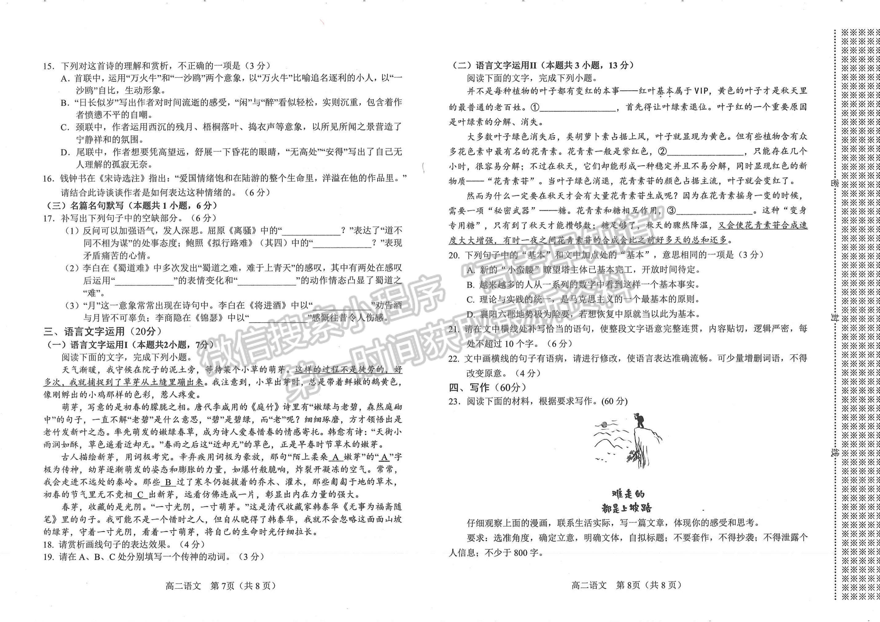 河南省南陽市2023年春期高中二年級(jí)期終質(zhì)量評(píng)估語文試題及參考答案 