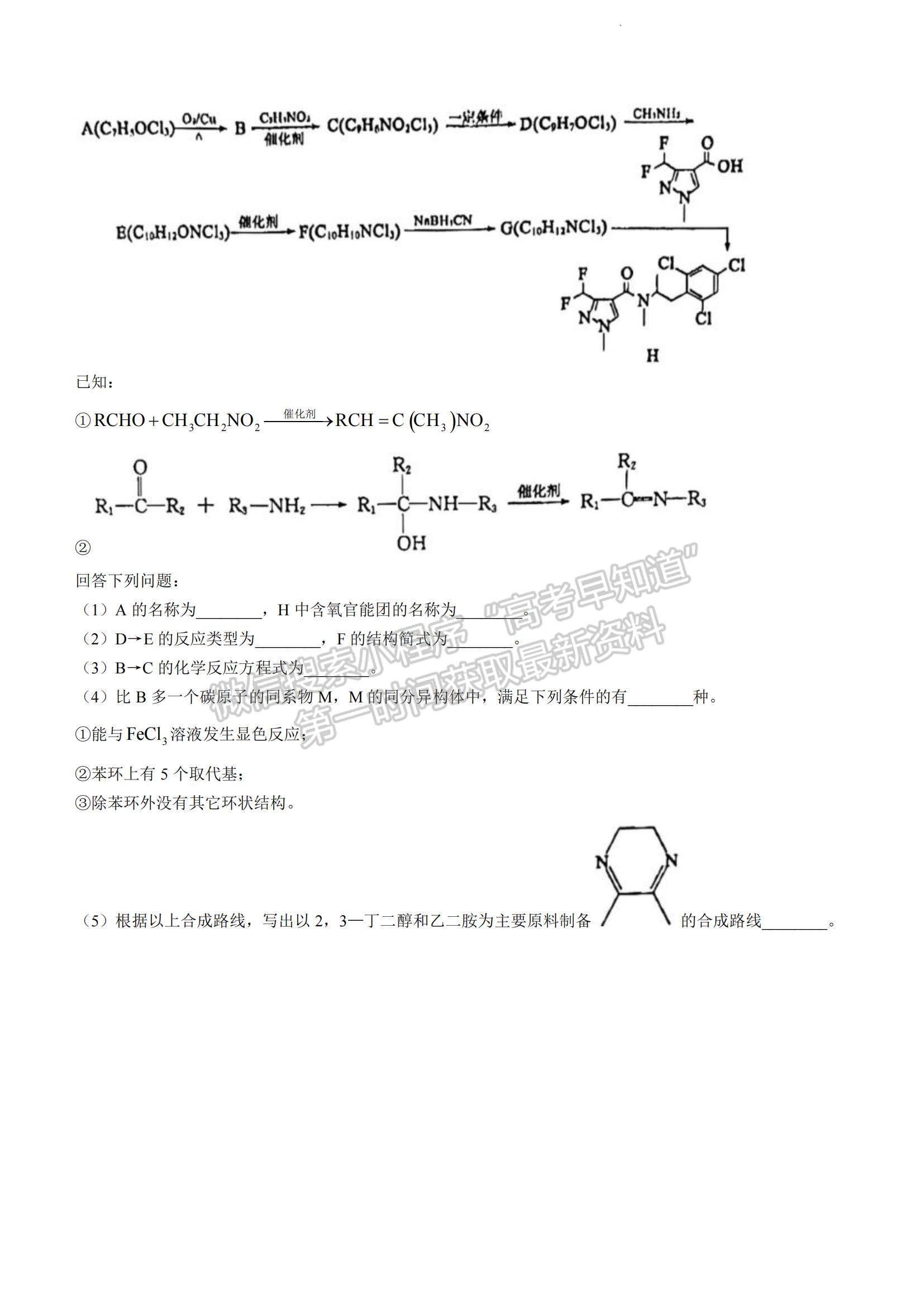 2023山東省濱州市高二下學(xué)期期末考試化學(xué)試題及參考答案